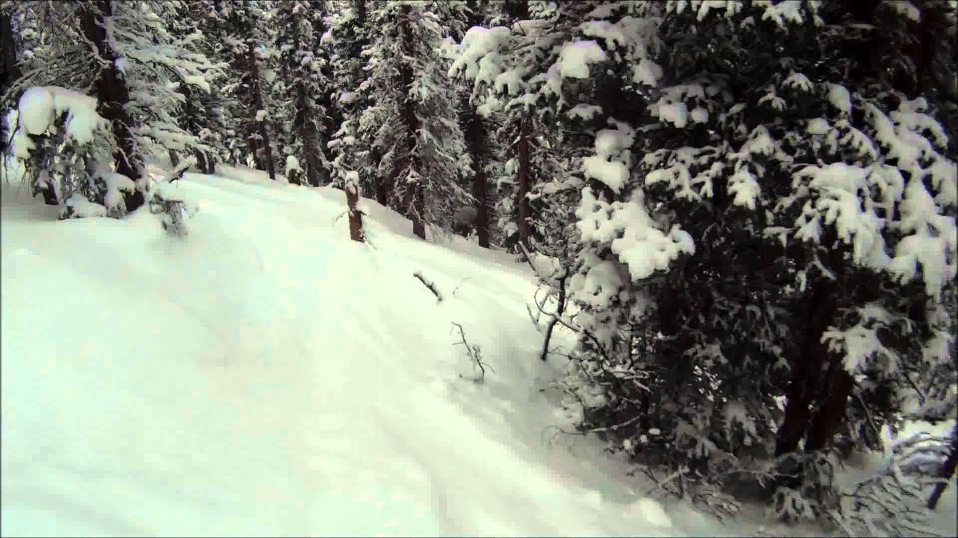 GoPro skiing trees at Winter Park in Eagle Wind - YouTube