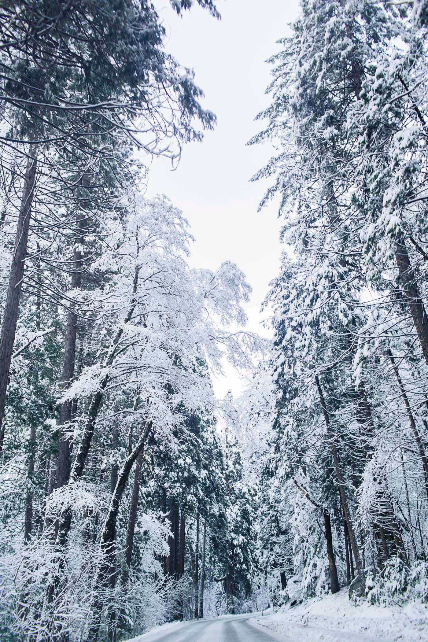 Yosemite National Park in the Winter - Hej Doll | Simple modern ...