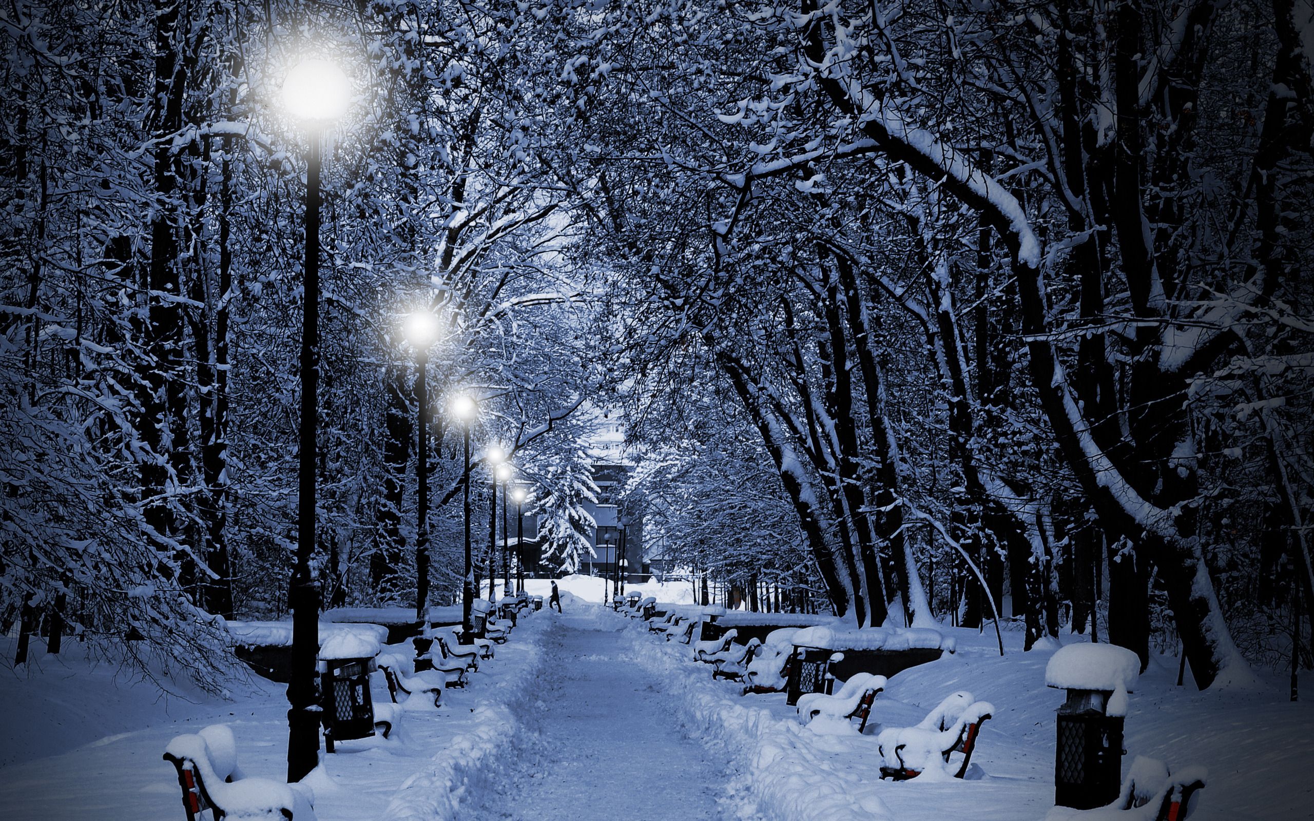 widescreen the park in winter photos free tablet pc 2560×1600 |