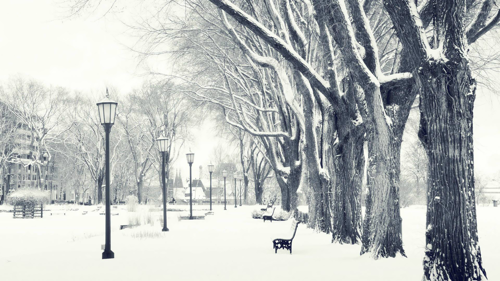 Winter in the park [2] wallpaper - Photography wallpapers - #16694