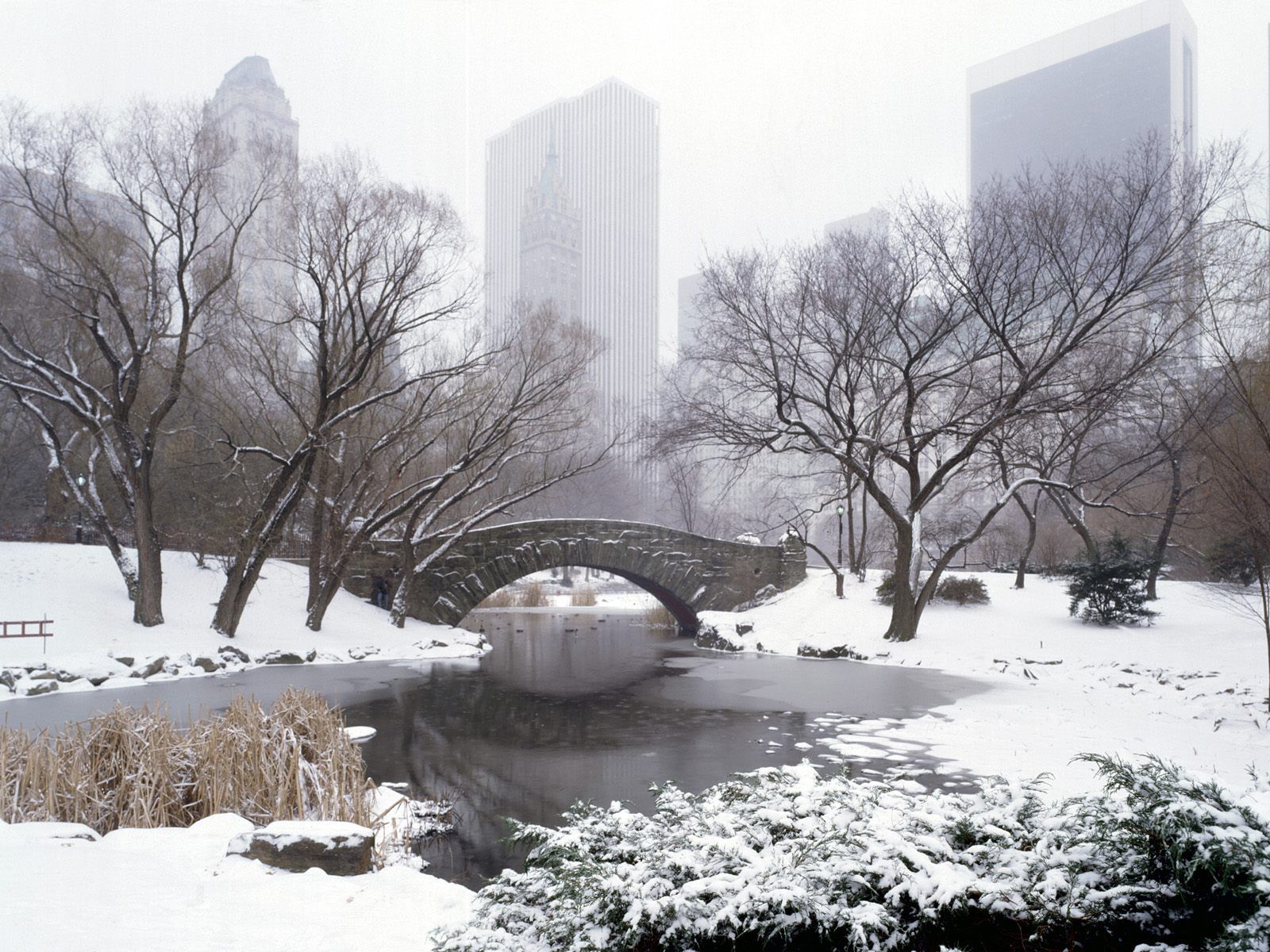 Central park in winter wallpapers and images - wallpapers, pictures ...