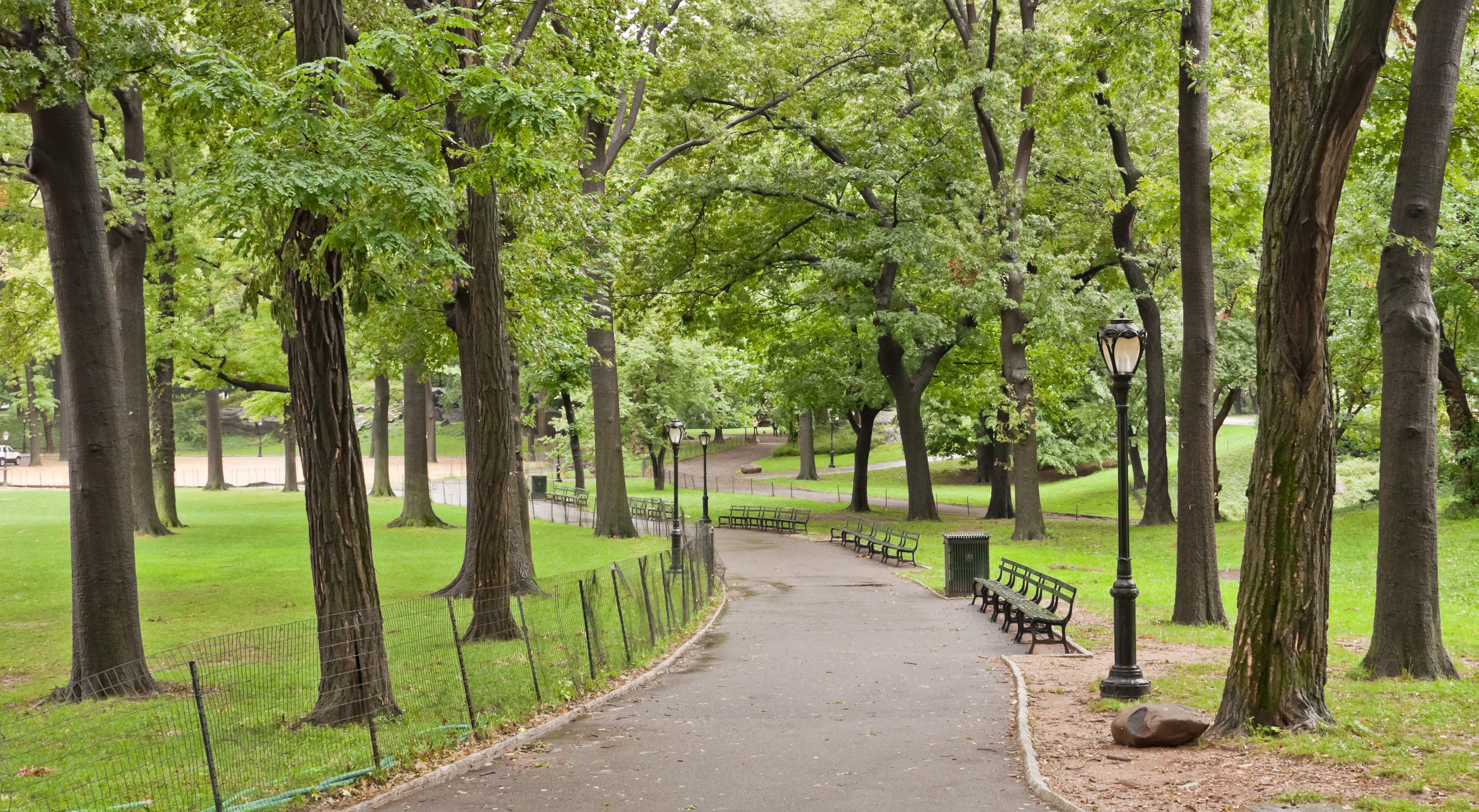 File:Central Park path.jpg - Wikimedia Commons