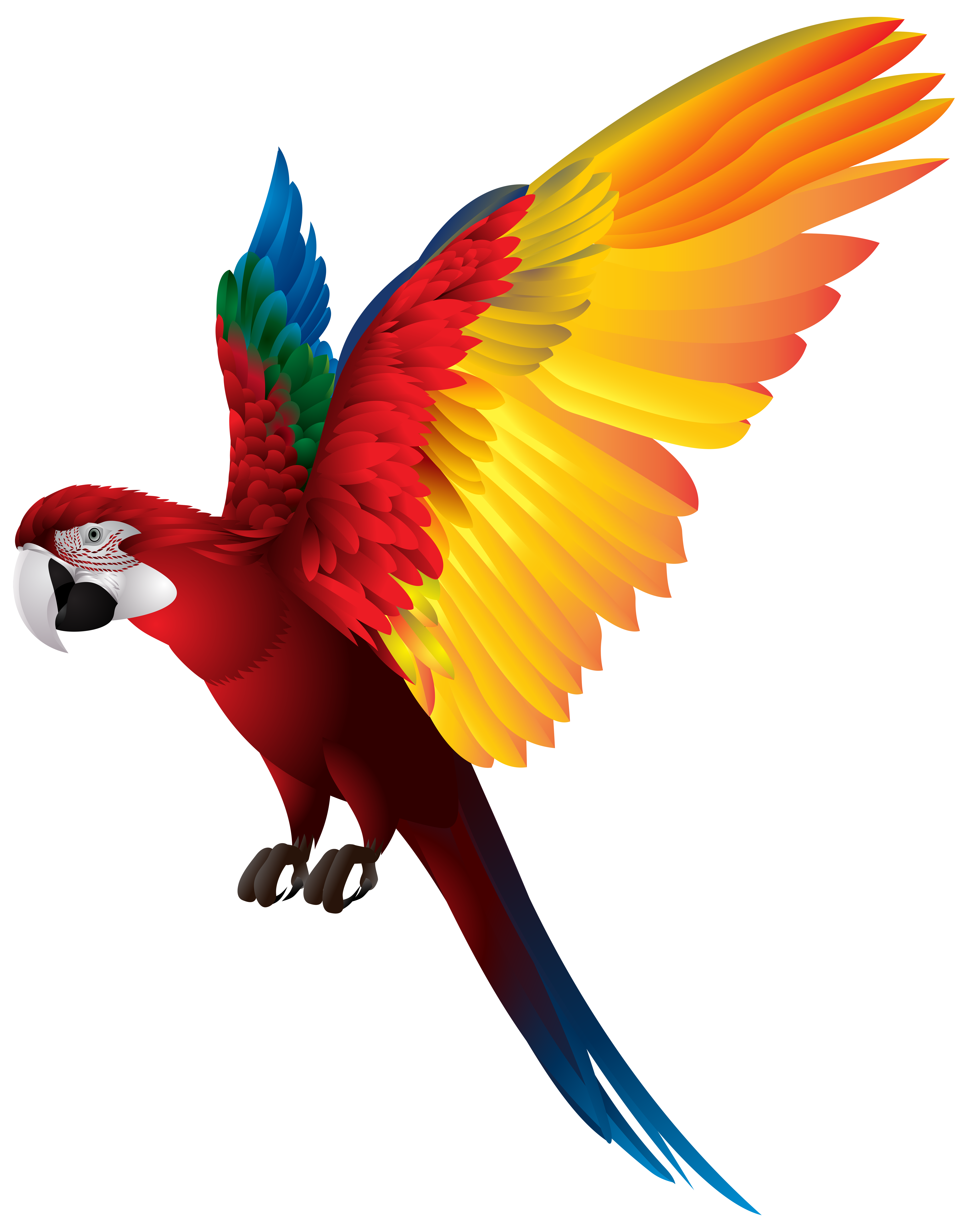 Parrot PNG Transparent Clip Art Image | Gallery Yopriceville - High ...