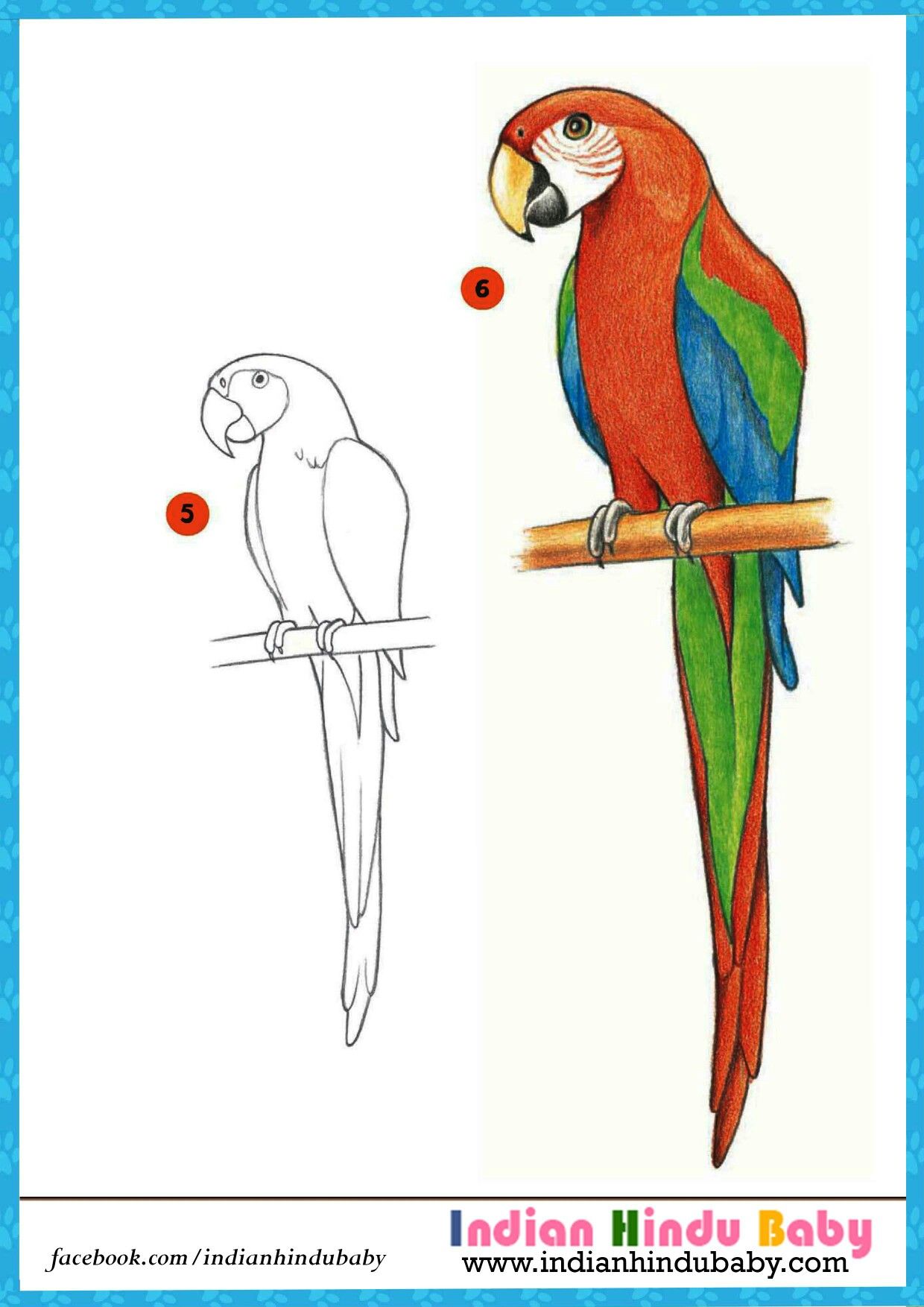 The beauty of colorful parrot 'Macau' is marvellous. Teach your kid ...