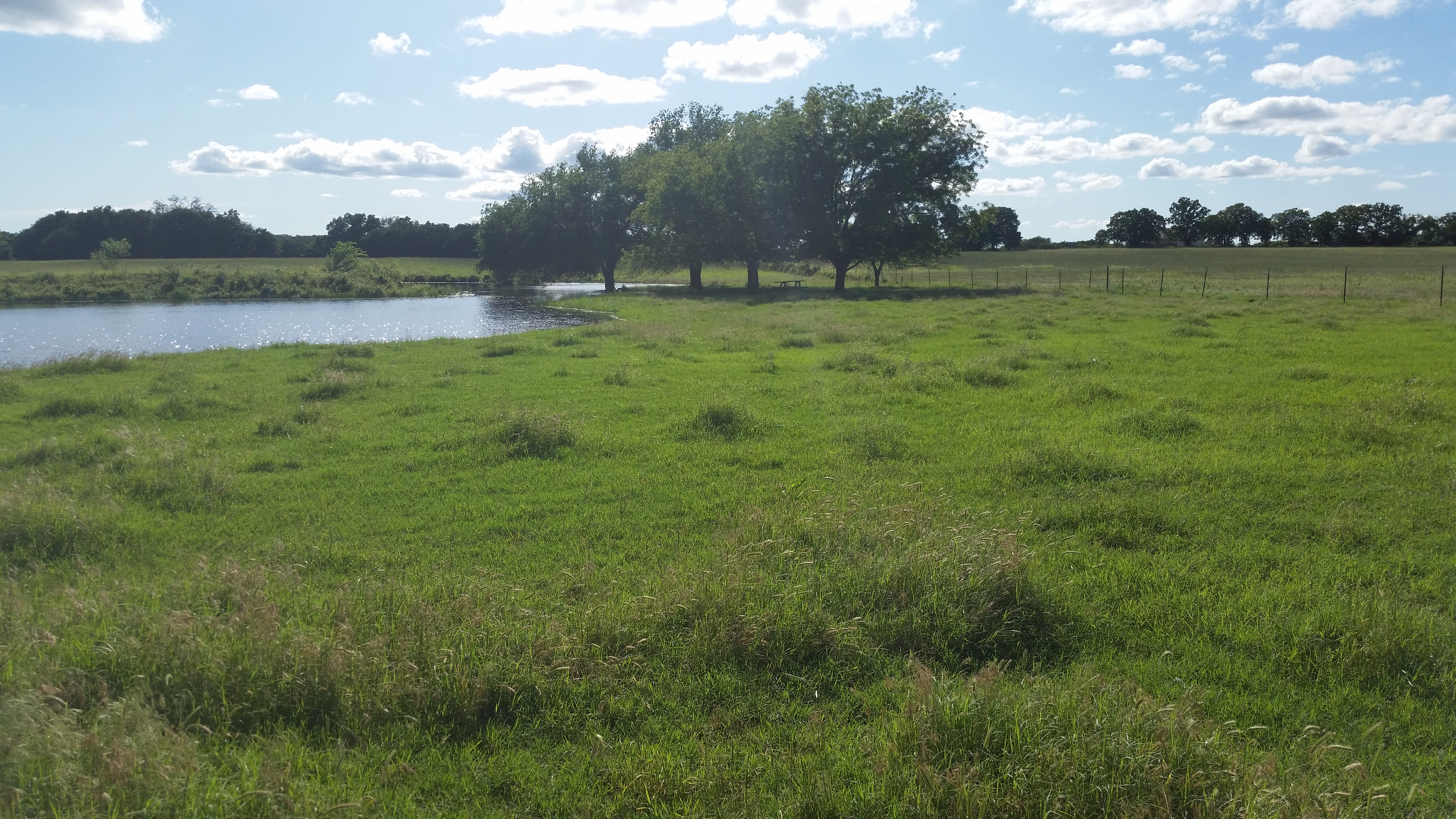 Looking for pasture to lease - PastureScout : PastureScout