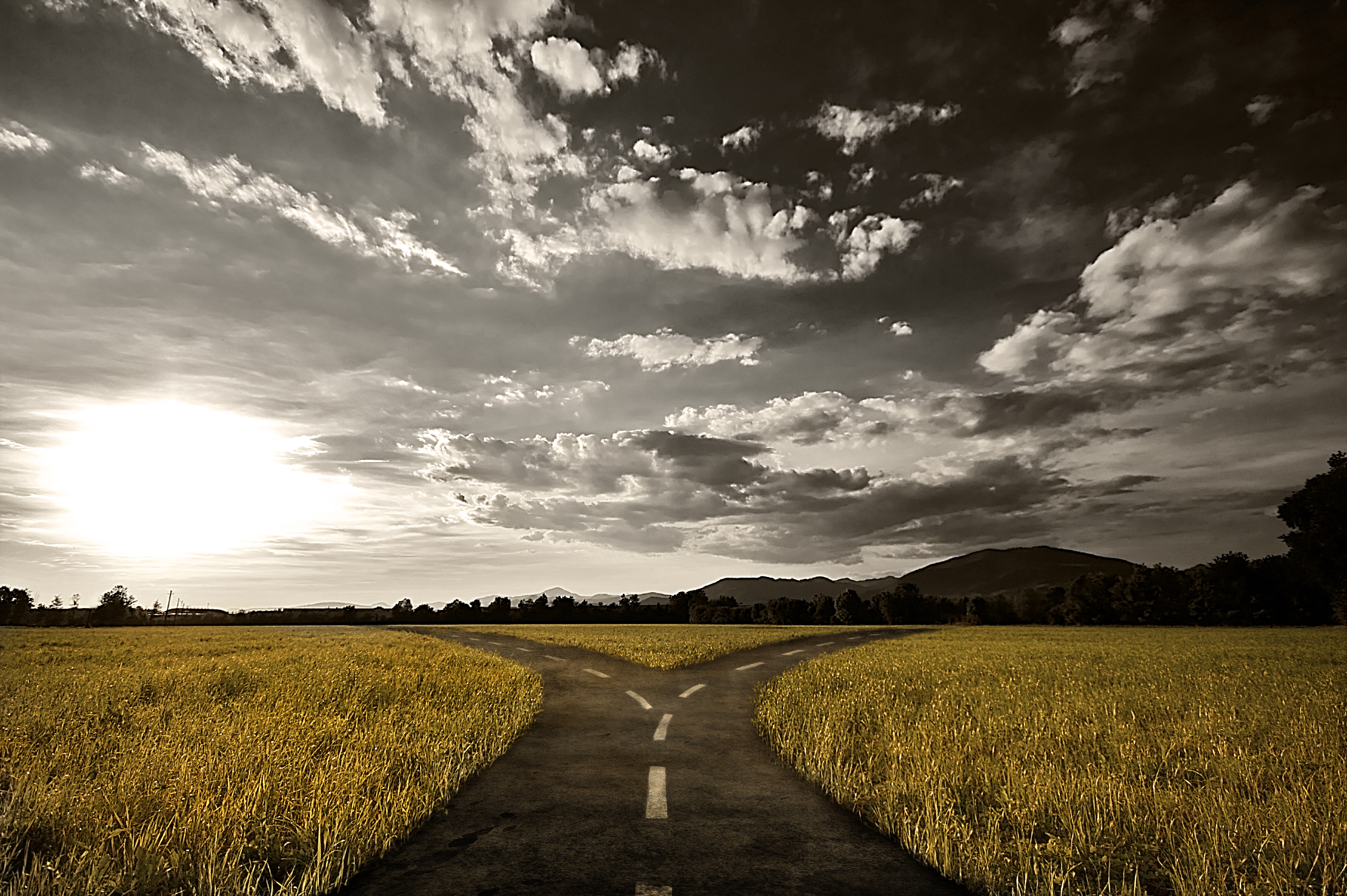 The Path of Pressure in College Choices | CollegeVine Zen