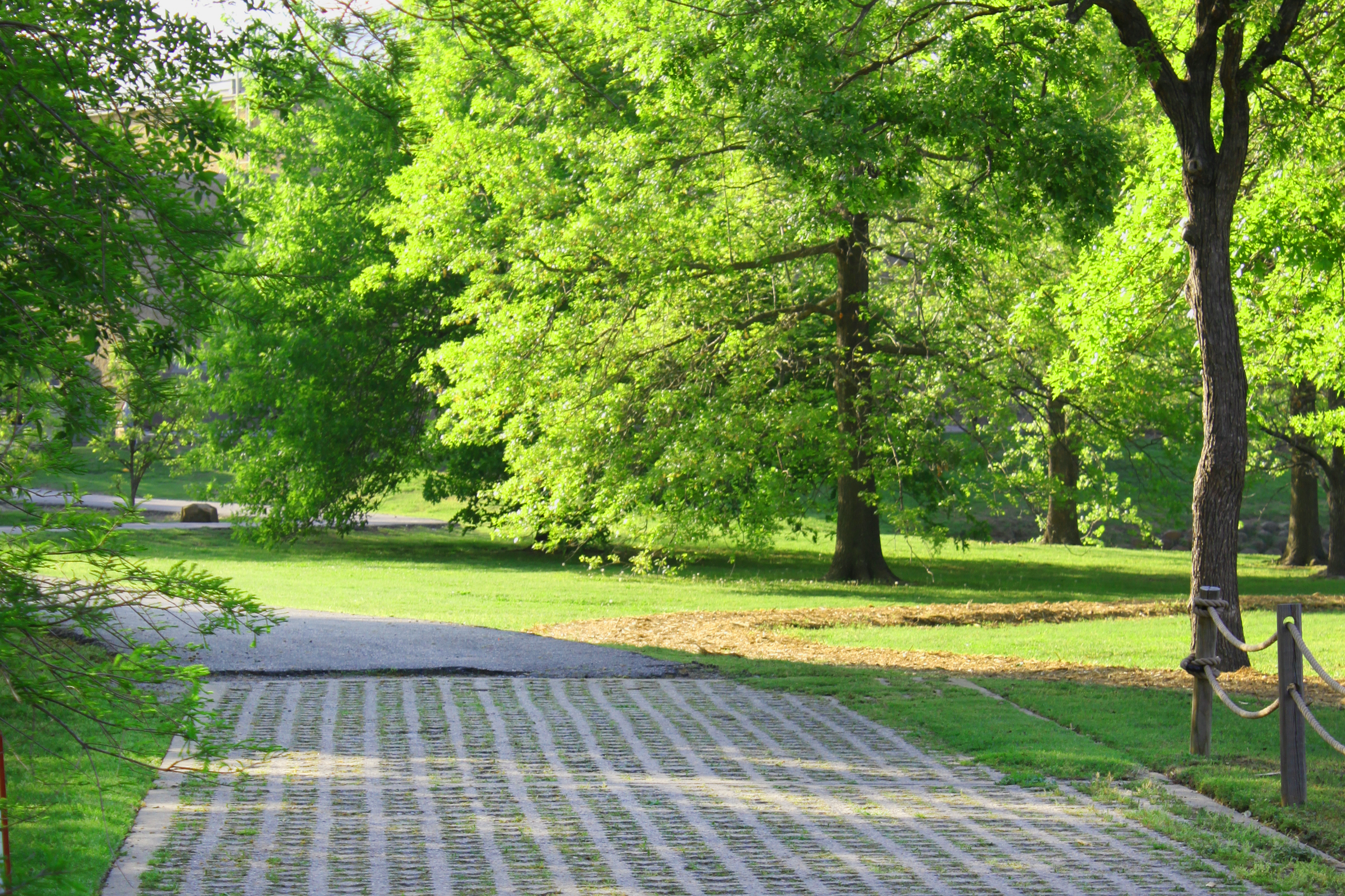 Path in a park photo