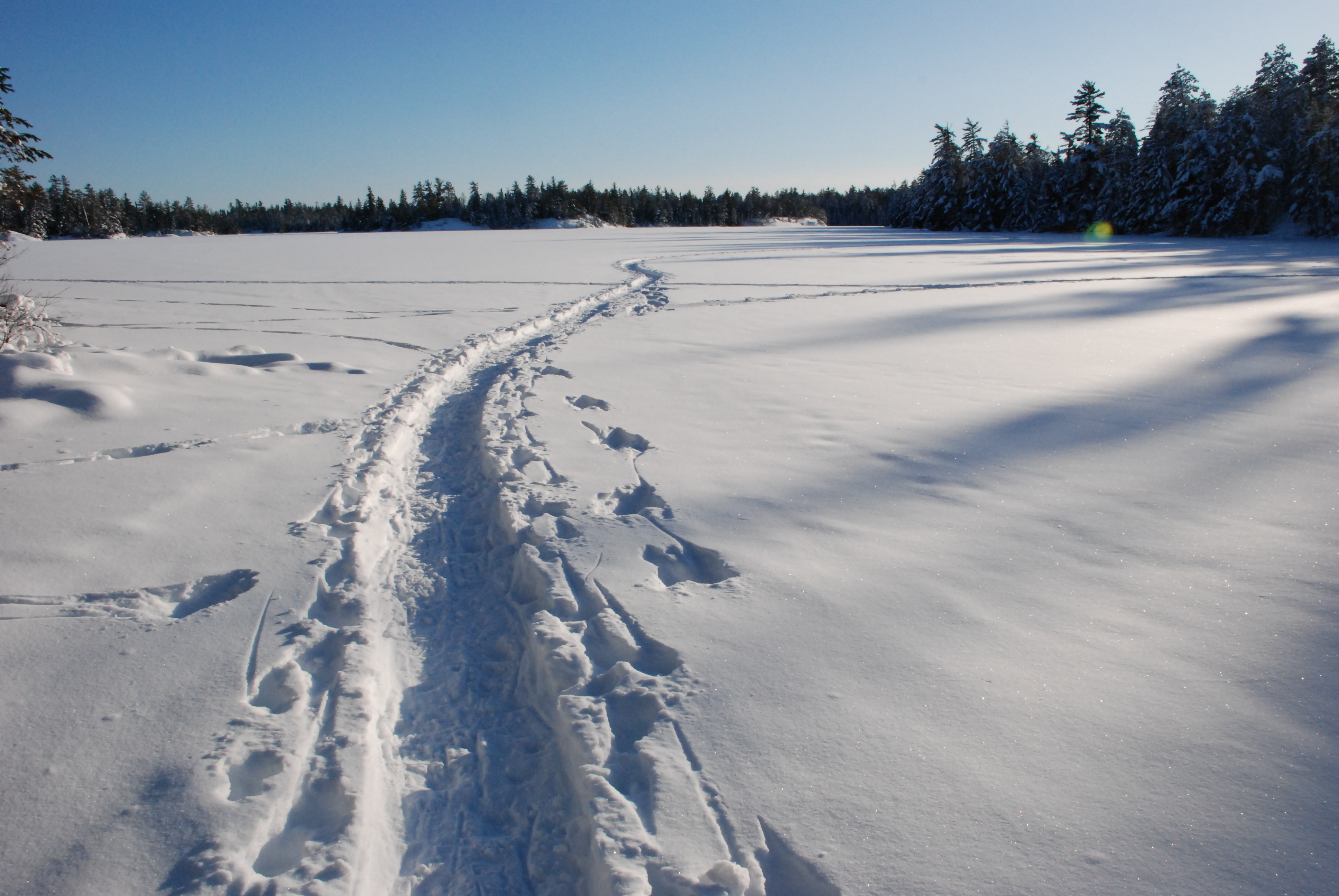 Snow Track | Epochemr