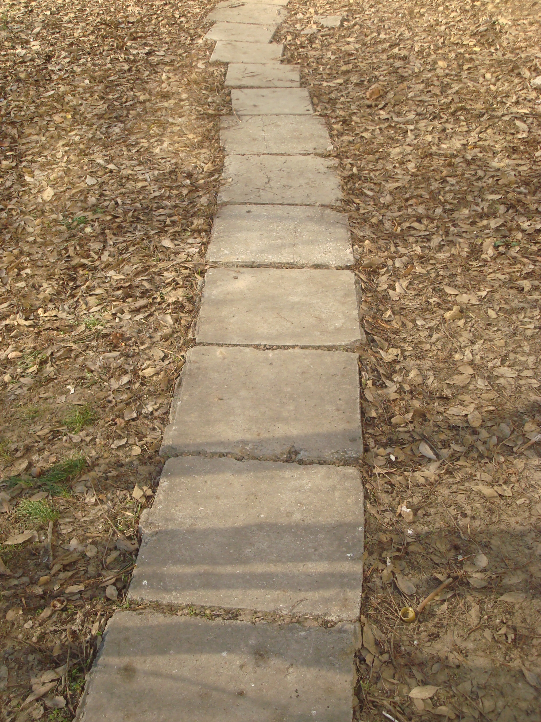 Path in the park photo