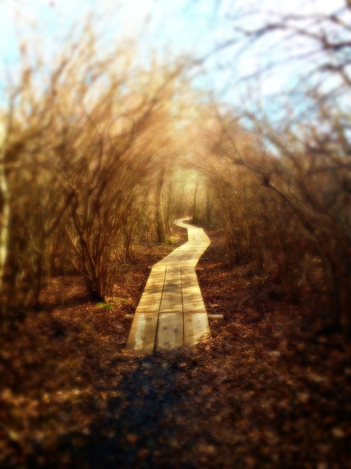 Yarmouth, Massachusetts - A path to nowhere