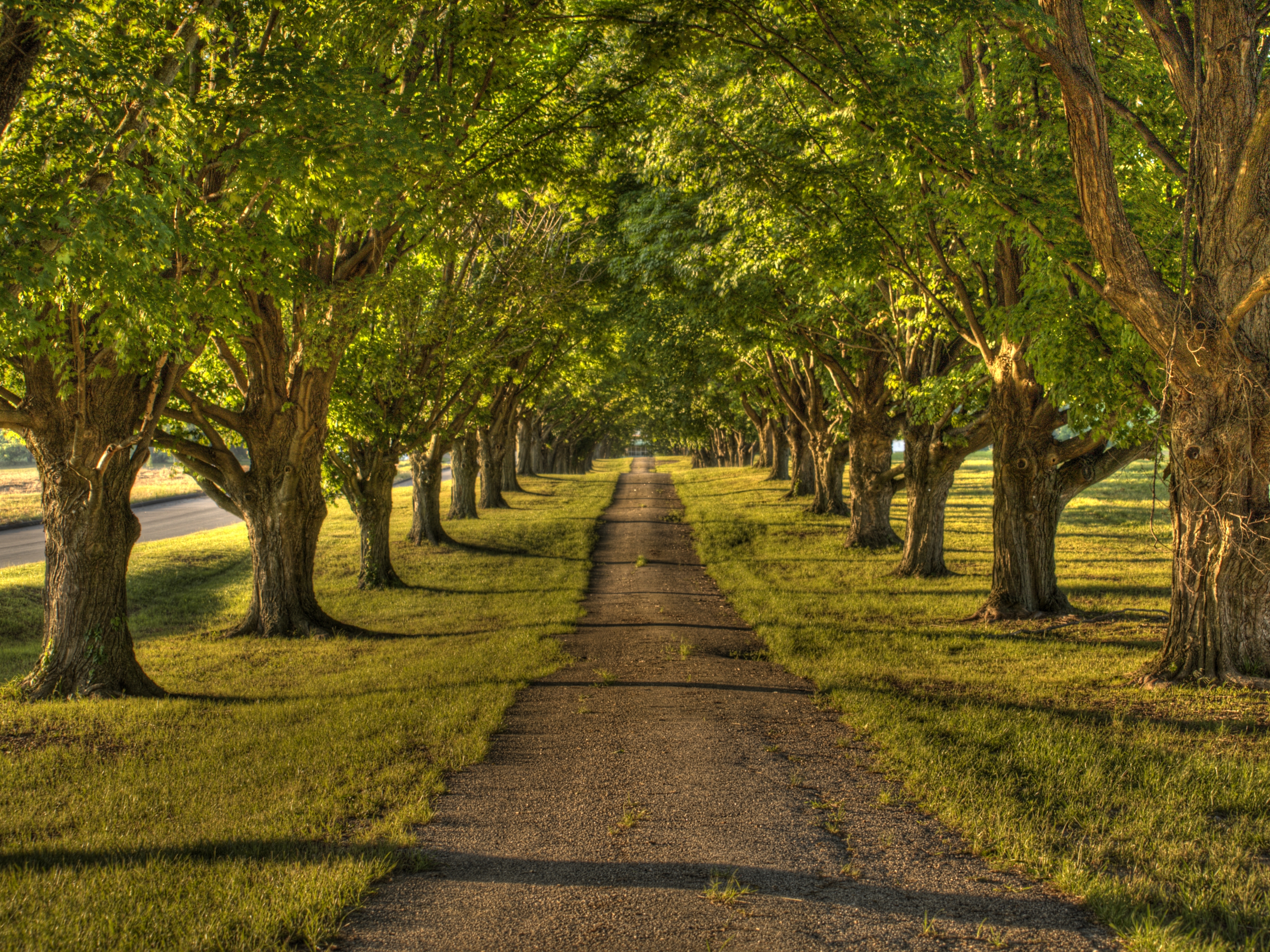 Pathway photo