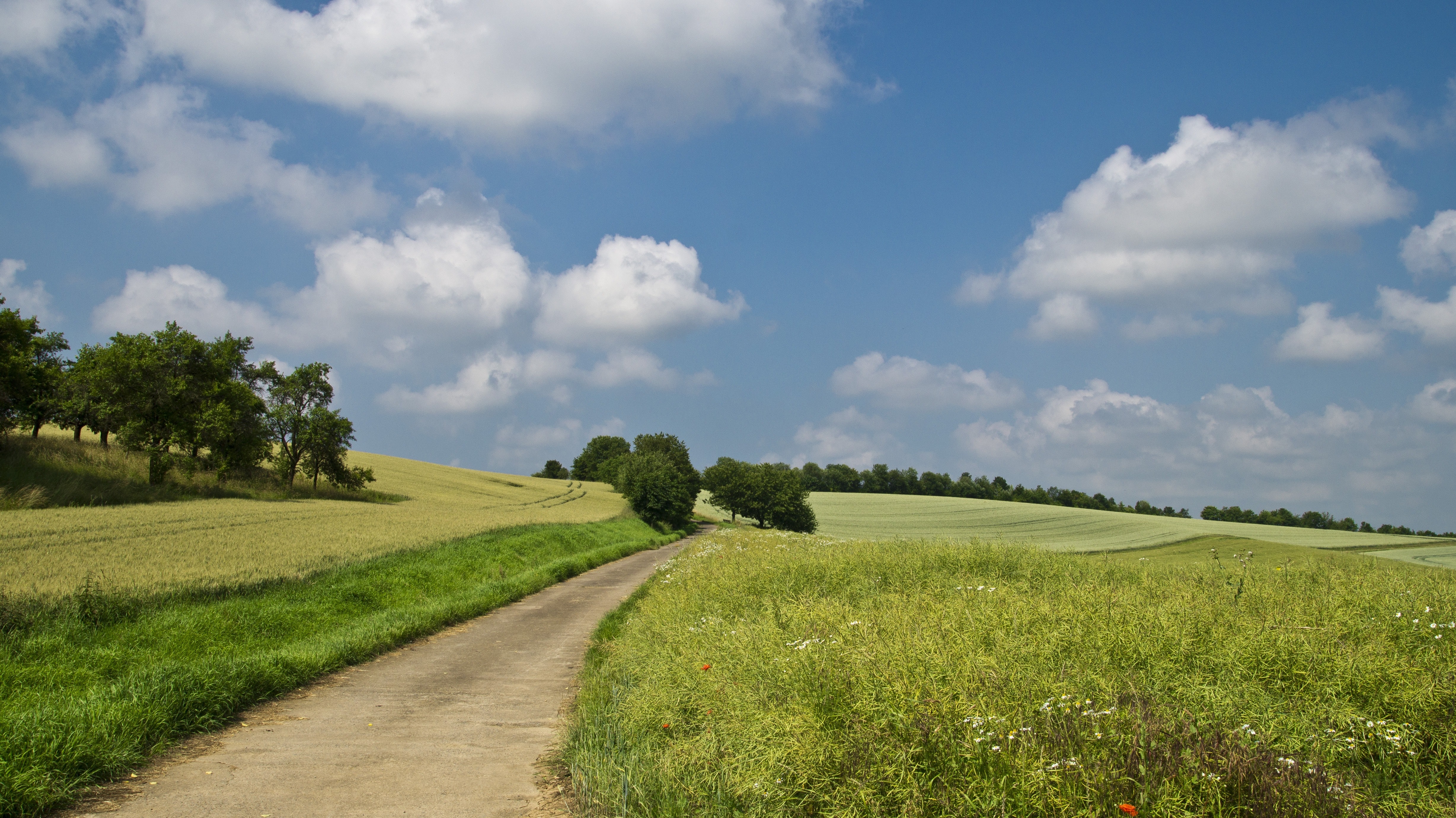 Pathway in Between of Green Grass Field, Clouds, Countryside, Field, Grass, HQ Photo