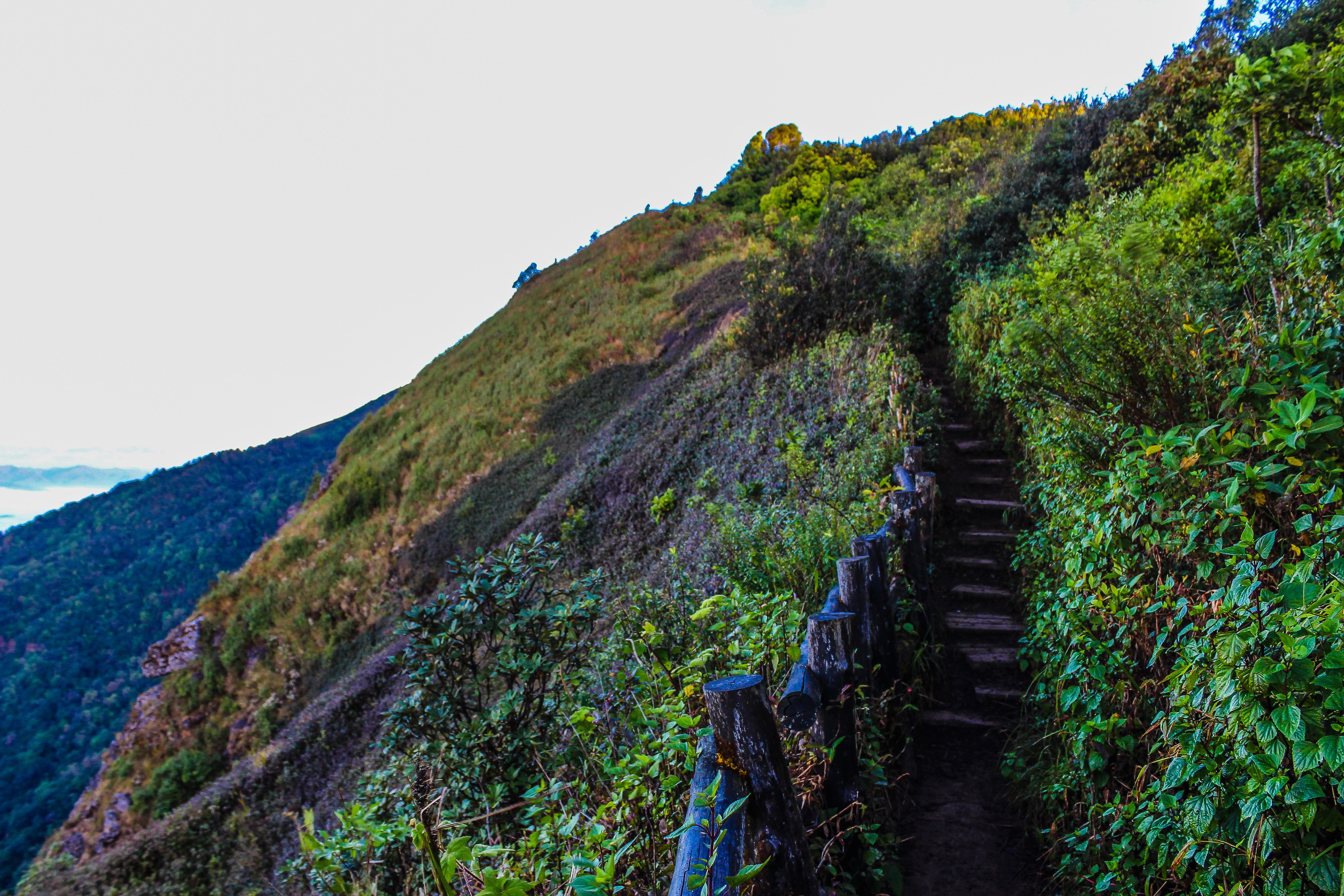 Pathway on mountain with blue wooden handrails at daytime photo