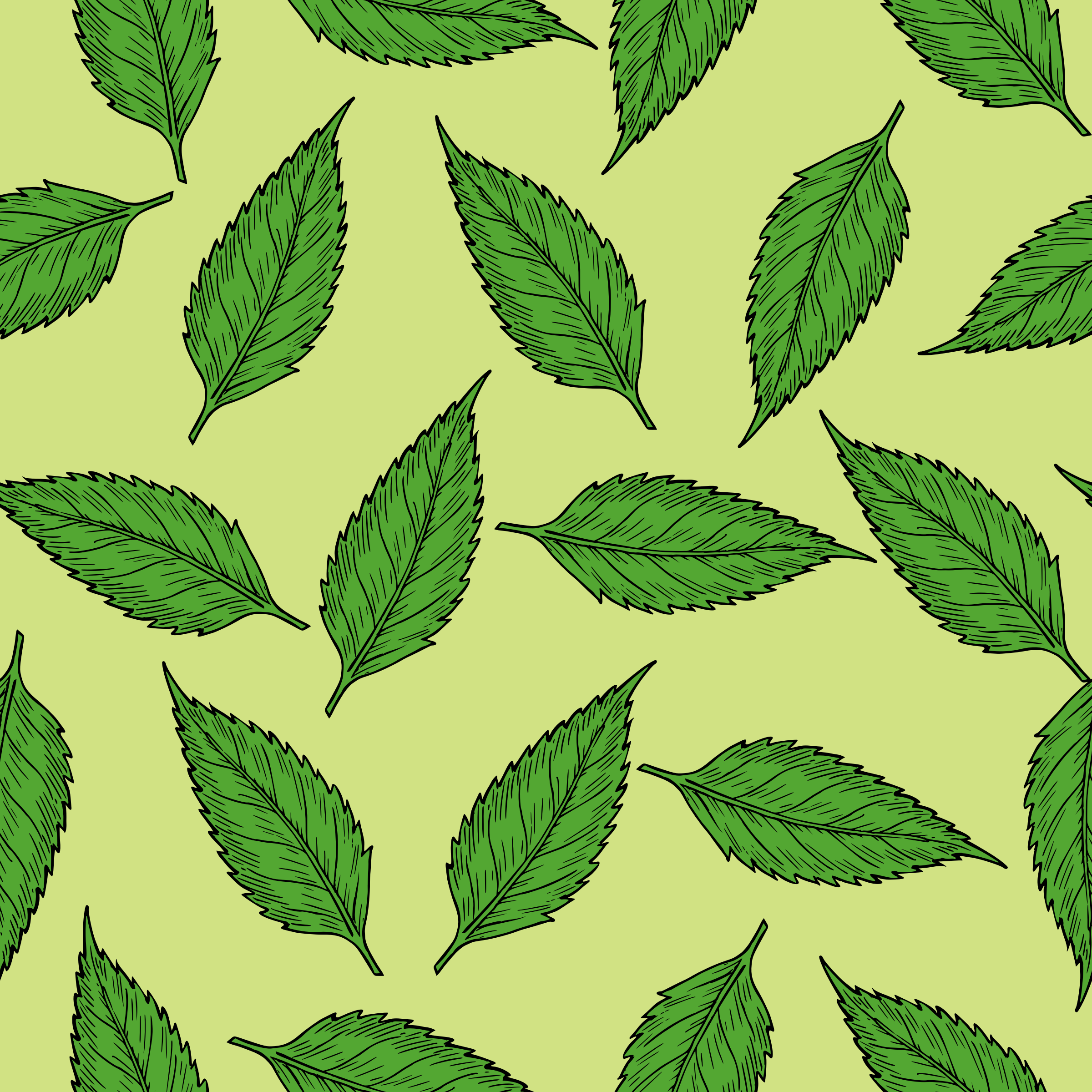 Summer leaves pattern Icons PNG - Free PNG and Icons Downloads