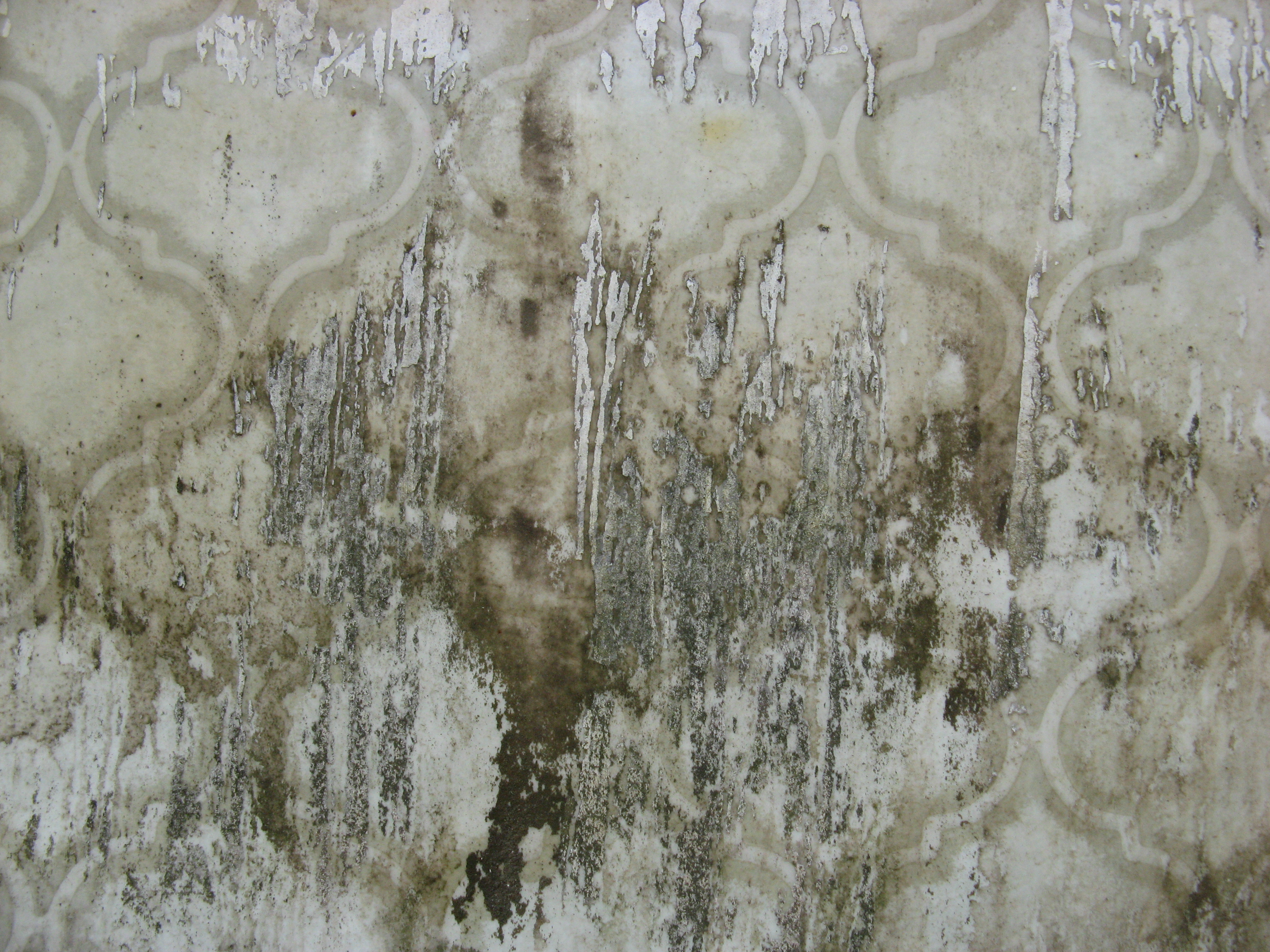 Free Grunge texture (linoleum, pattern, drip)
