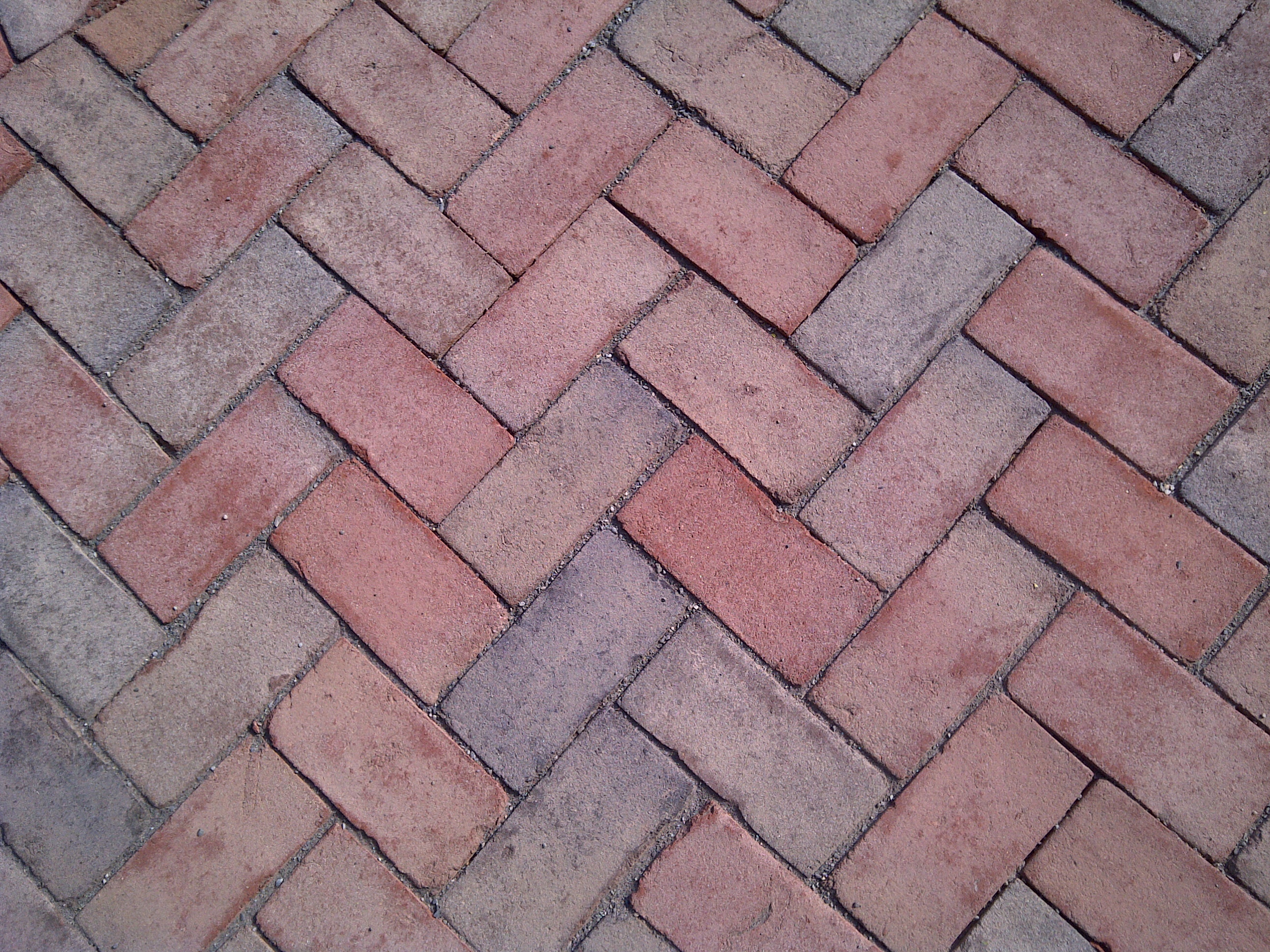 Pavement bricks photo