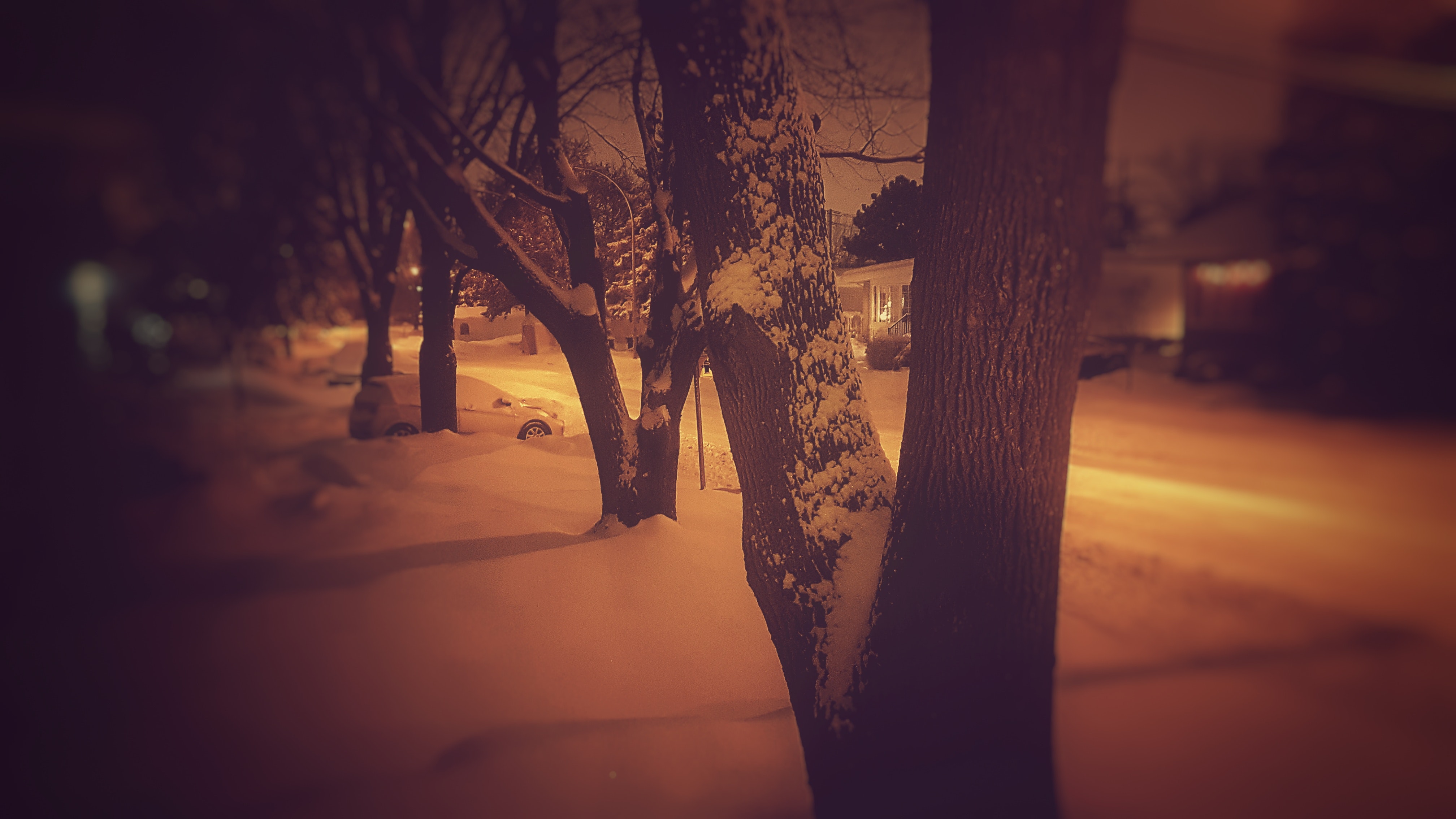 Pavement Covered With Snow Beside Road, Backlit, Outdoors, Winter, Weather, HQ Photo