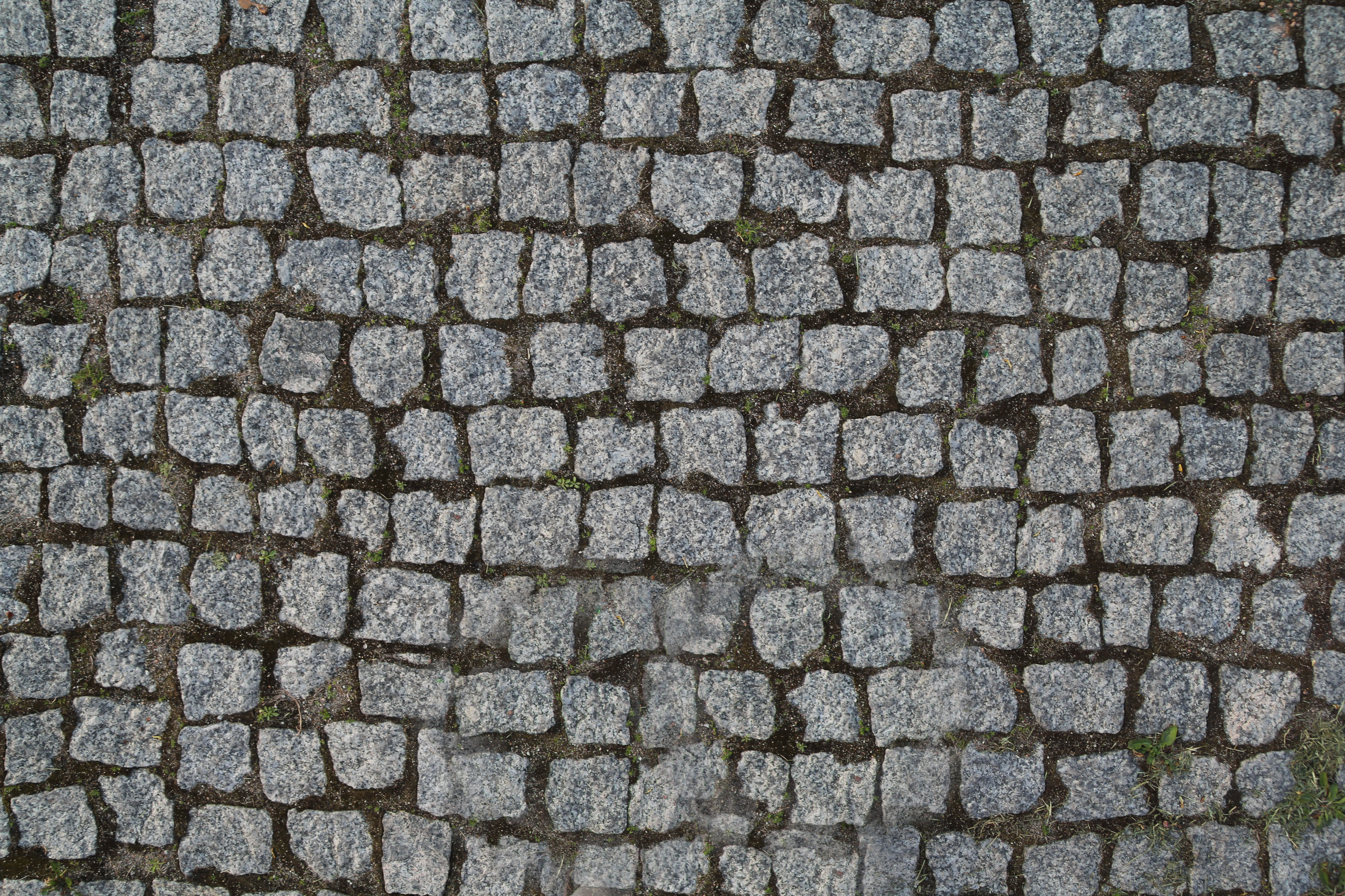 Stone pavement texture photo