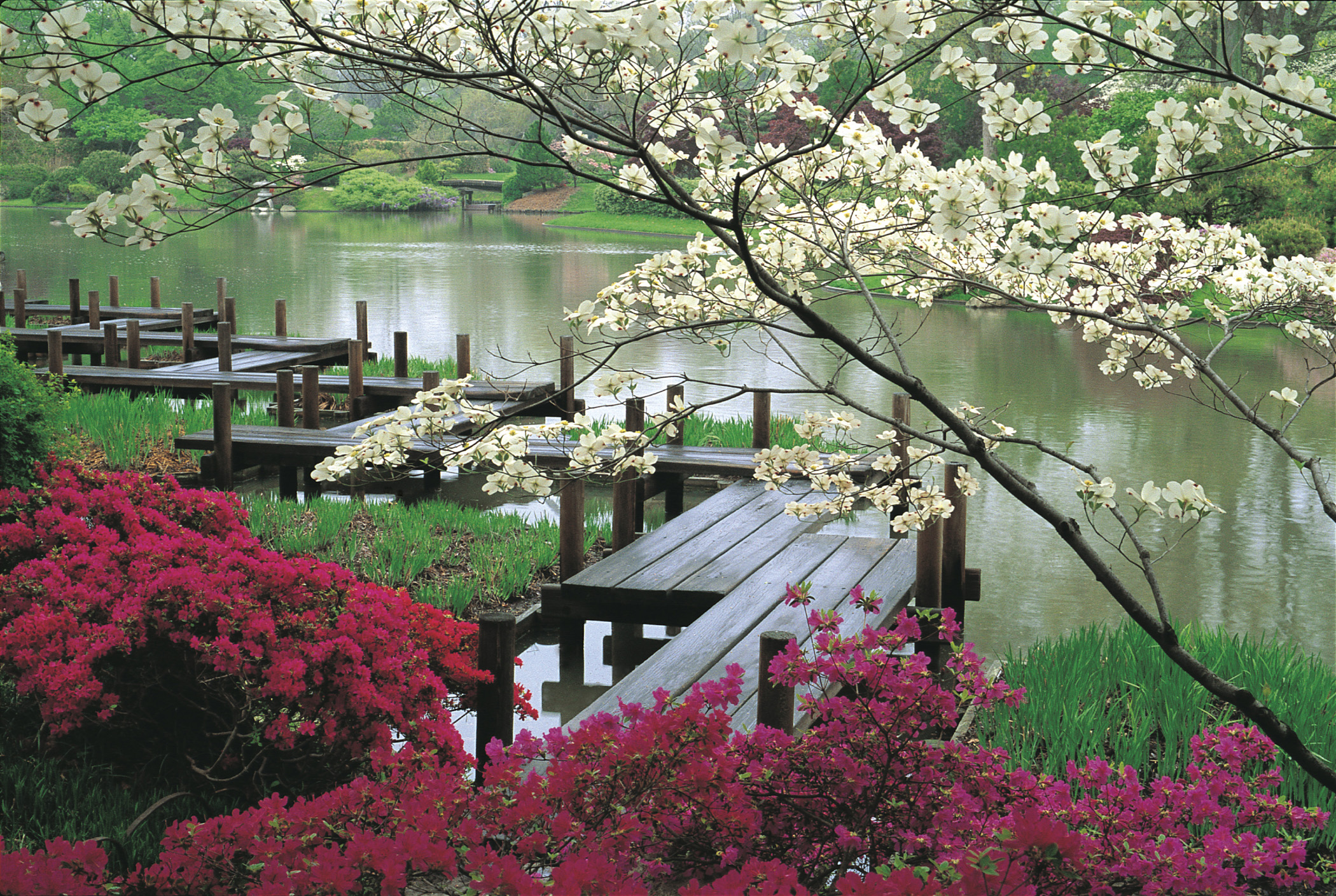 Peaceful asian garden photo
