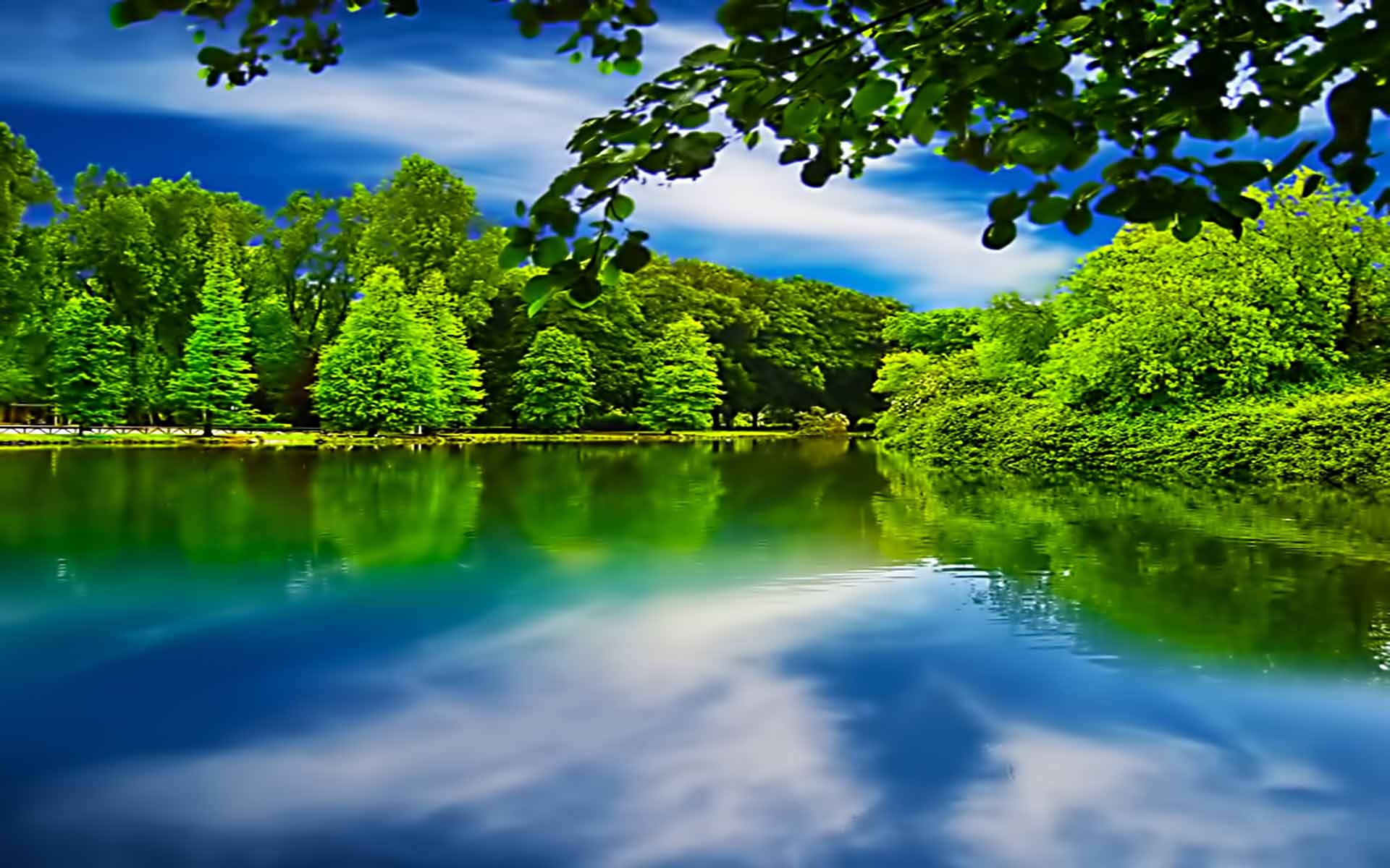 Lakes: Peaceful Lake Forest Reflection Blue Green Calm Wallpaper For ...