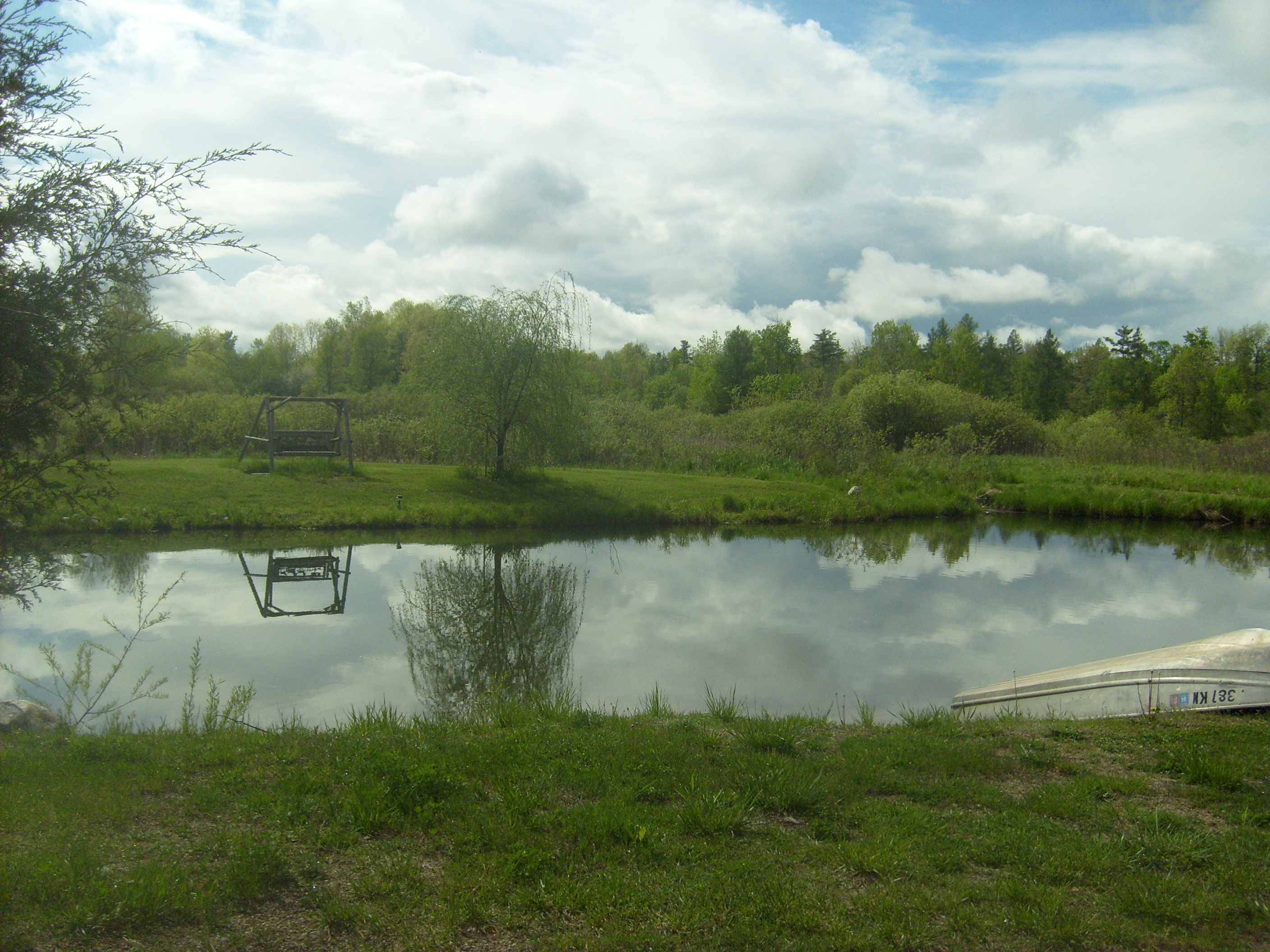Peaceful Pond?
