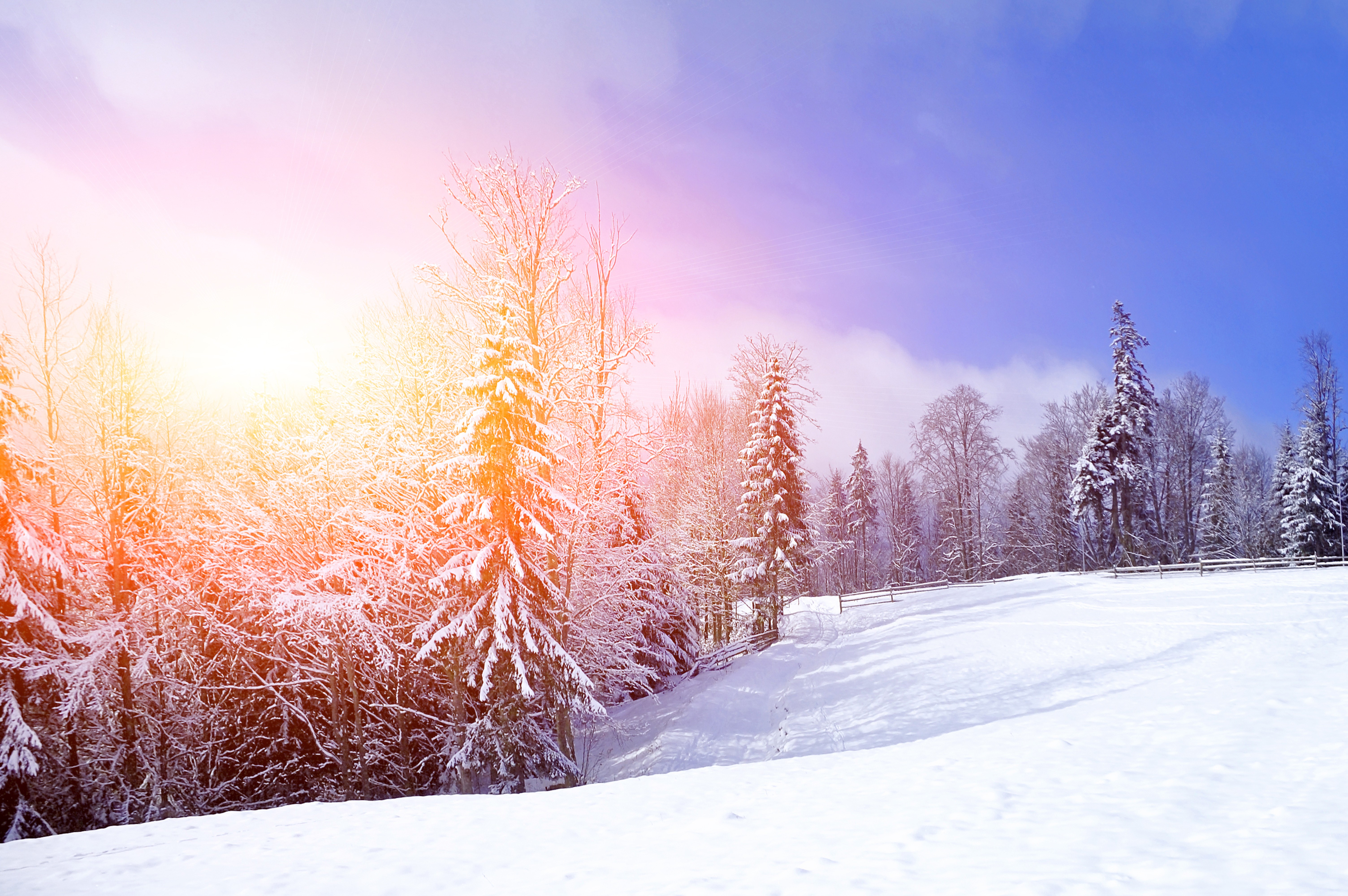 Peaceful winter landscape photo