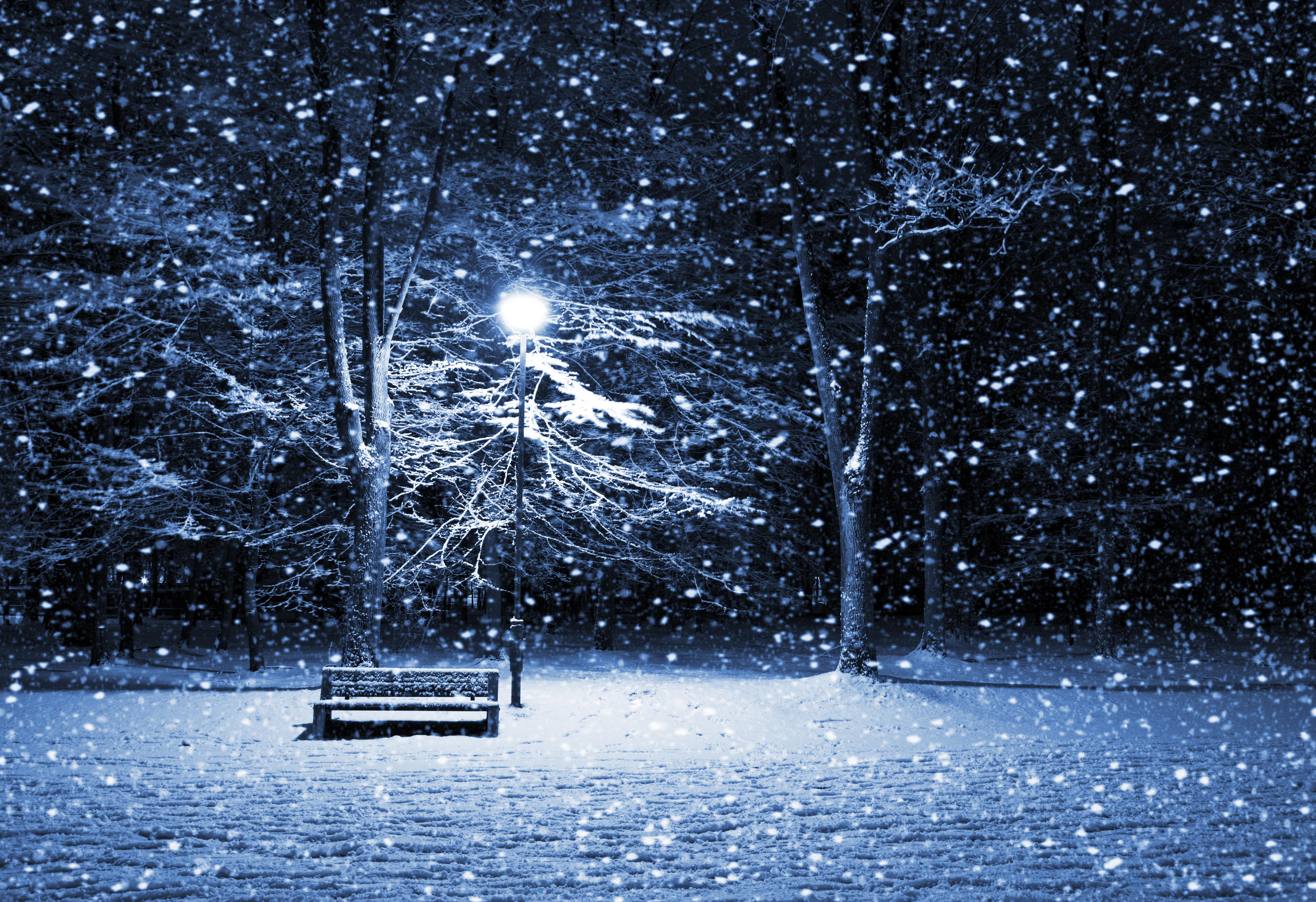 HD Winter Night Landscape - HD Wallpaper Download