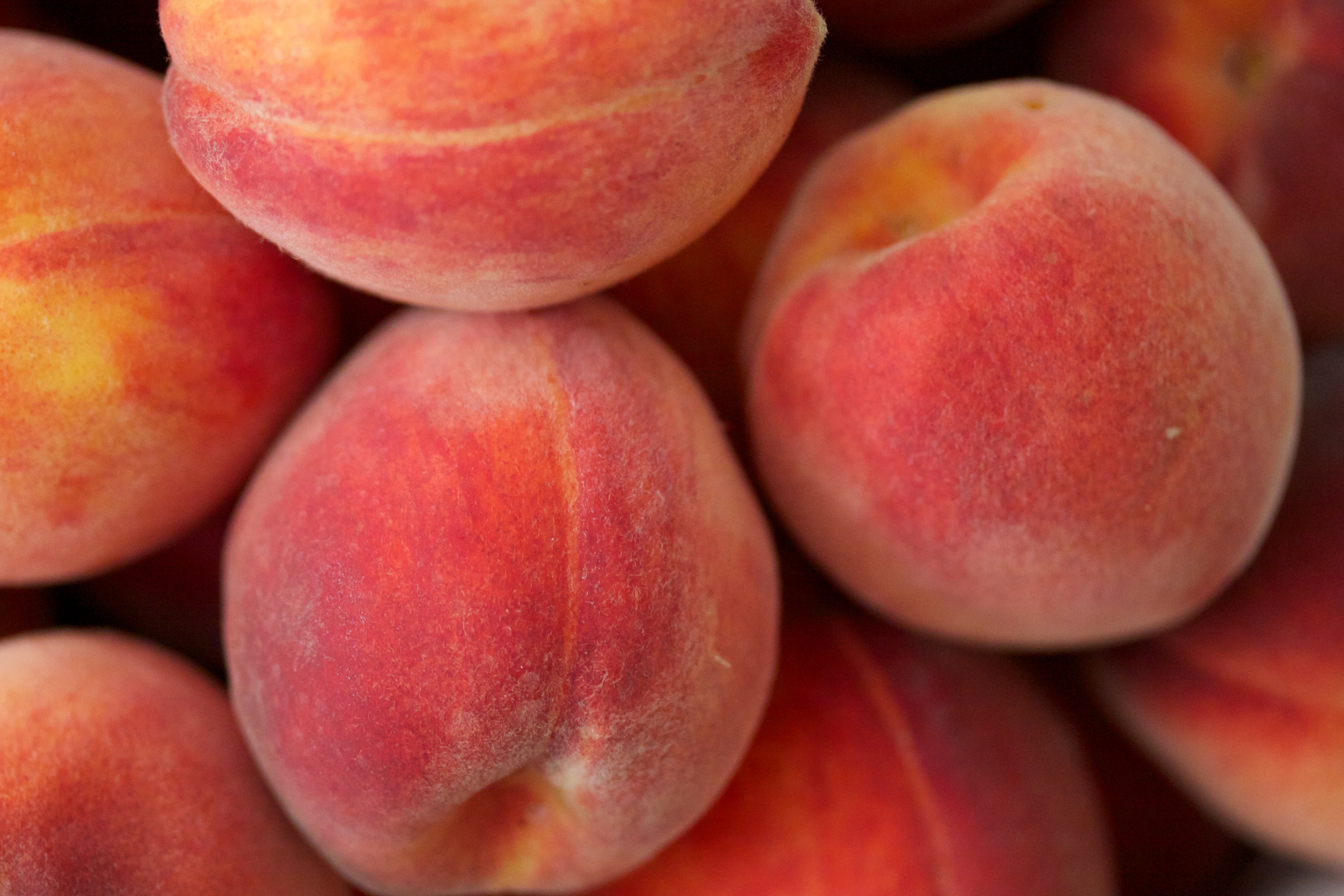 Peaches | The Fruit Club