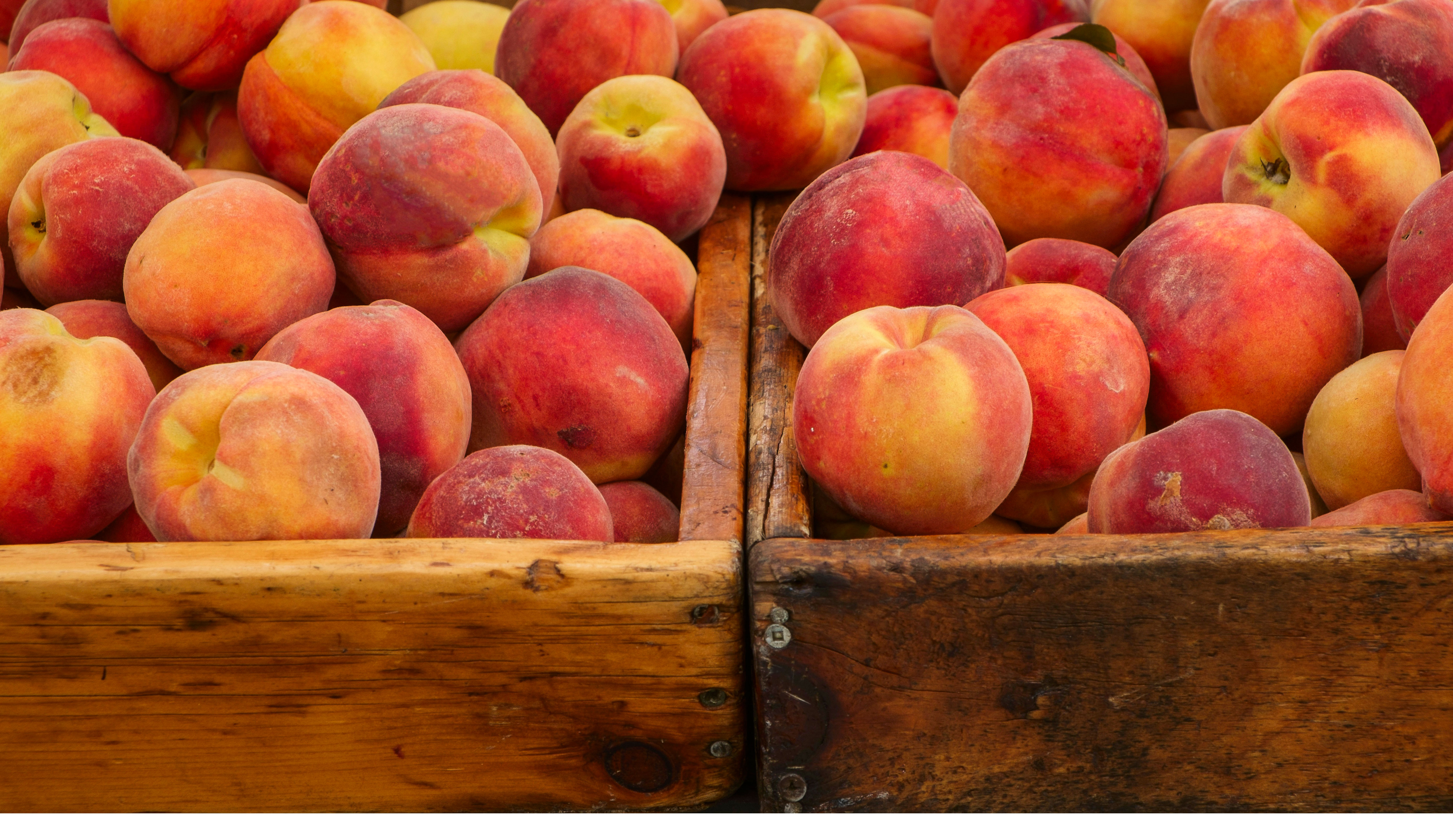 Food of the Month: Peaches | Muscle & Fitness