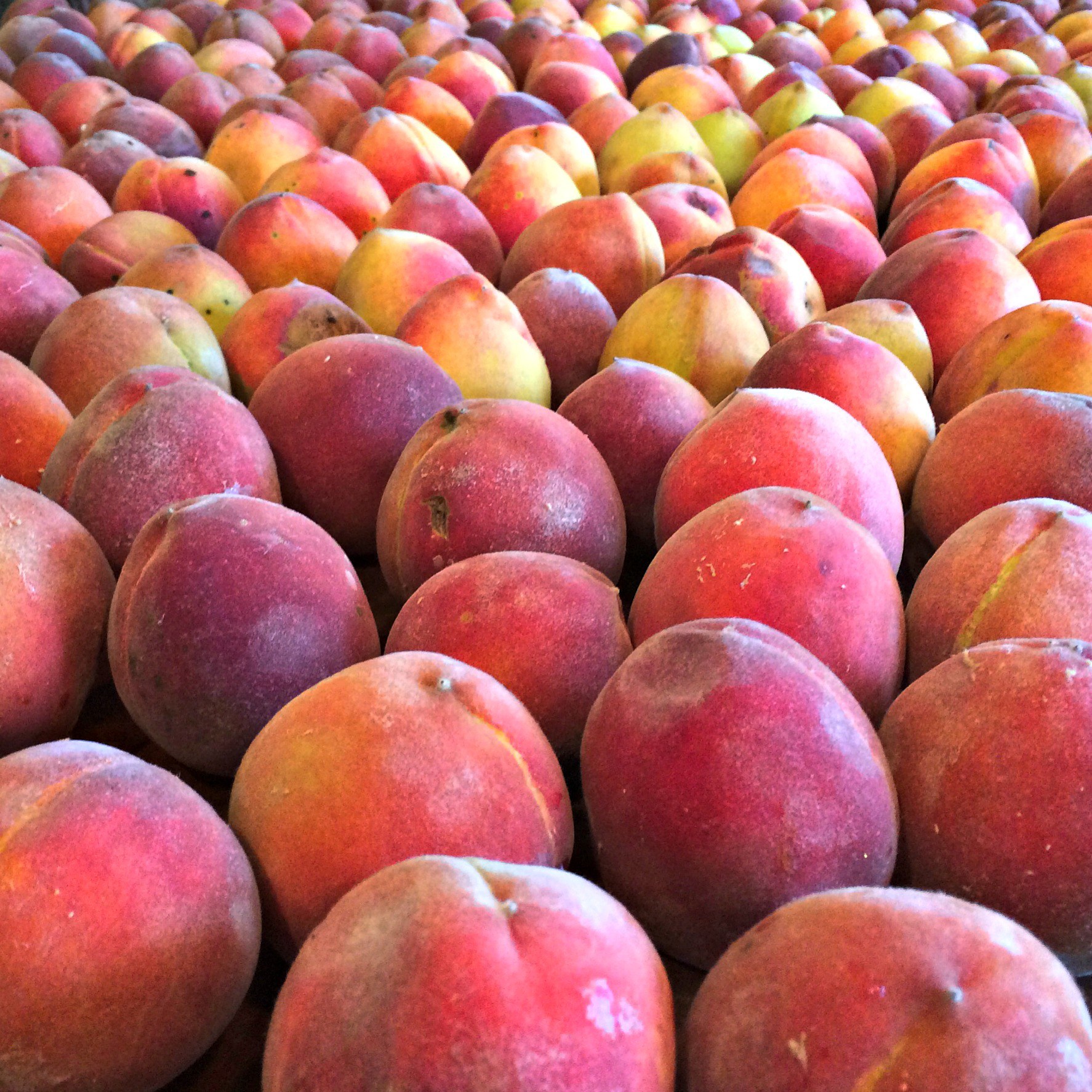 Peach Butter – Farm Fresh For Life – Real Food for Health & Wellness