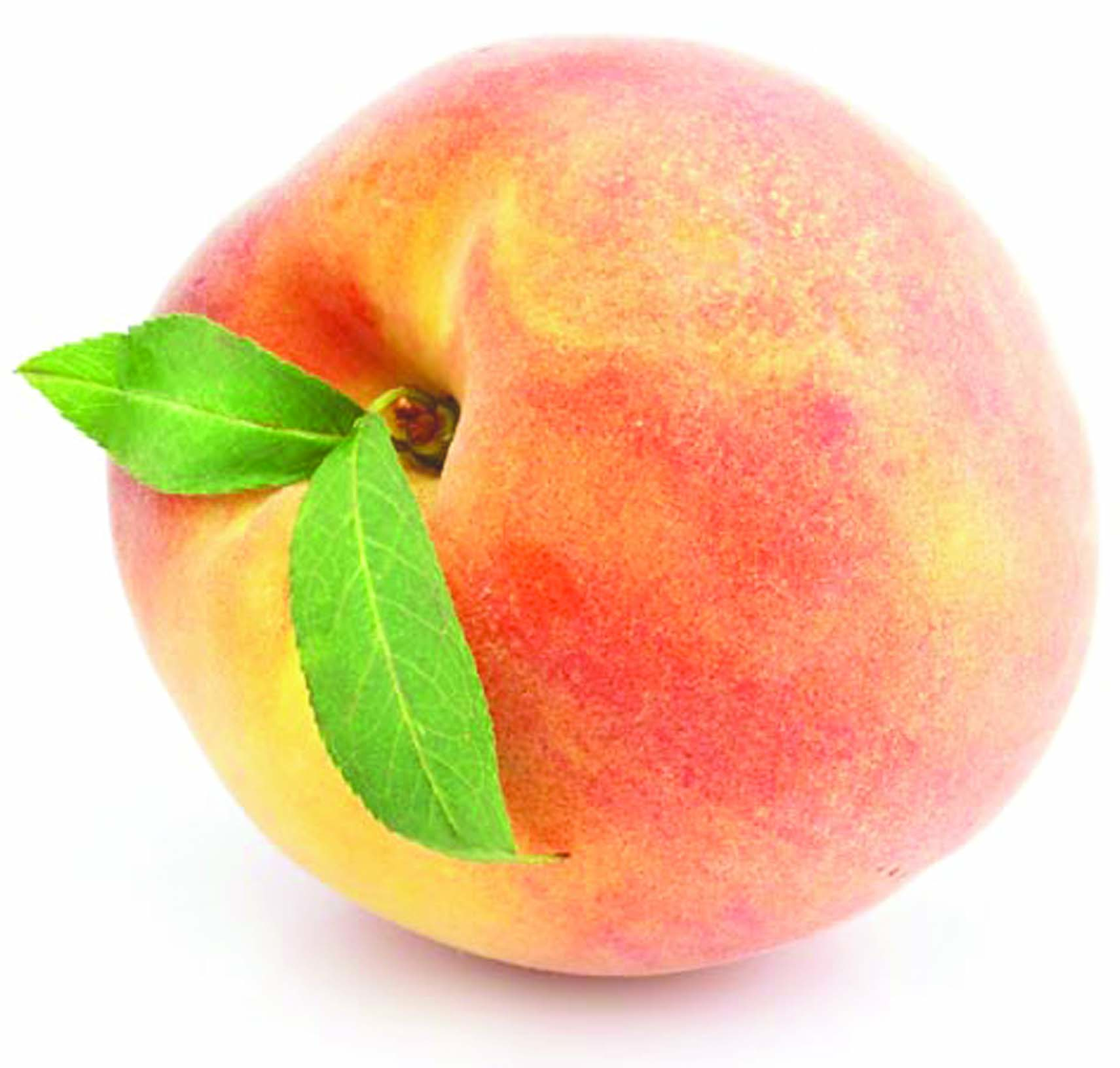 The Bix Blog • A Brief History of Peaches