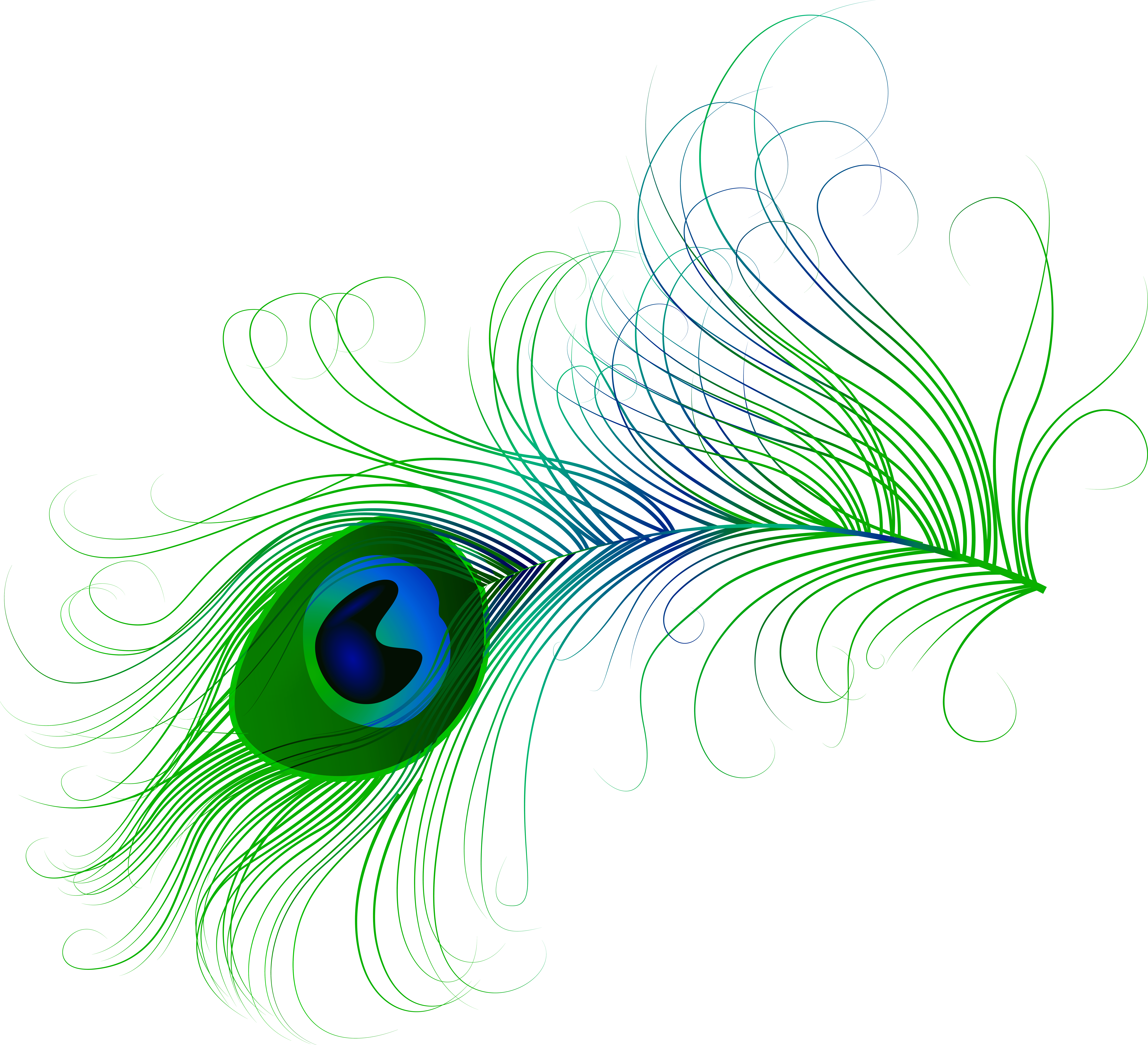 Peacock Feather PNG Clip Art Image | Gallery Yopriceville - High ...