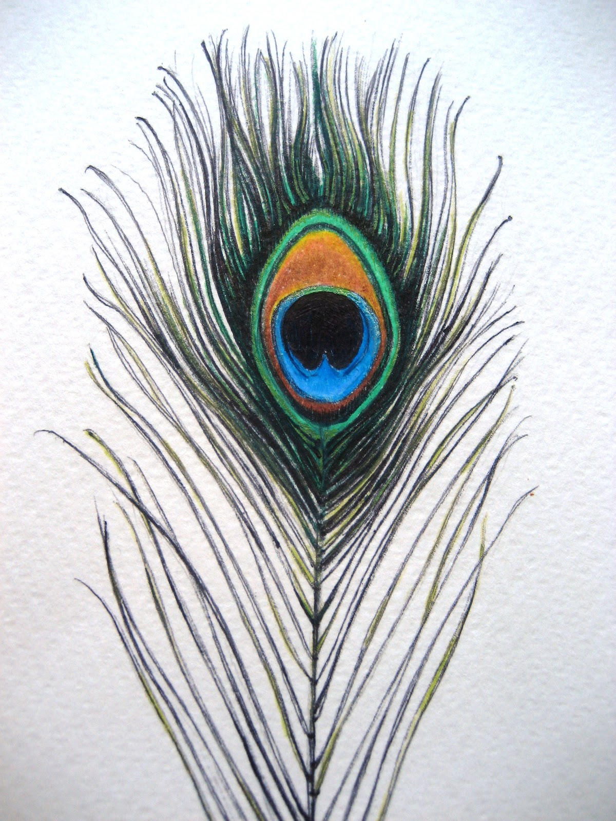 Peacock Feather Pencil Drawing Peacock Feather Drawing | Tattoo ...