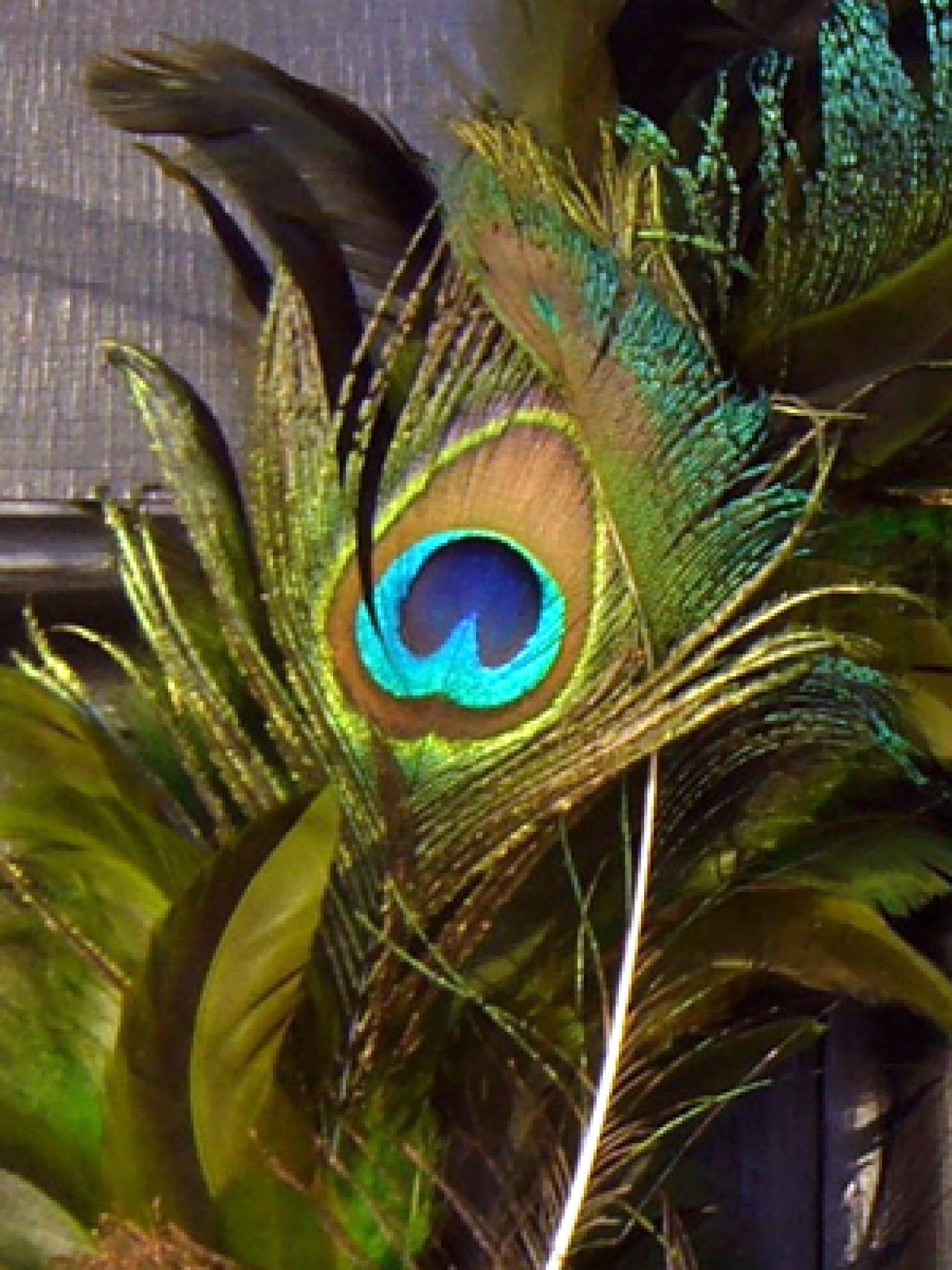 Peacock Feather Wreath | HGTV