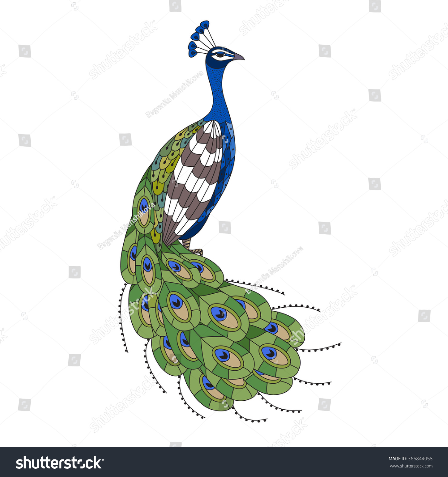 Hand Drawn Colorful Peacock Illustration Zentangle Stock Vector HD ...