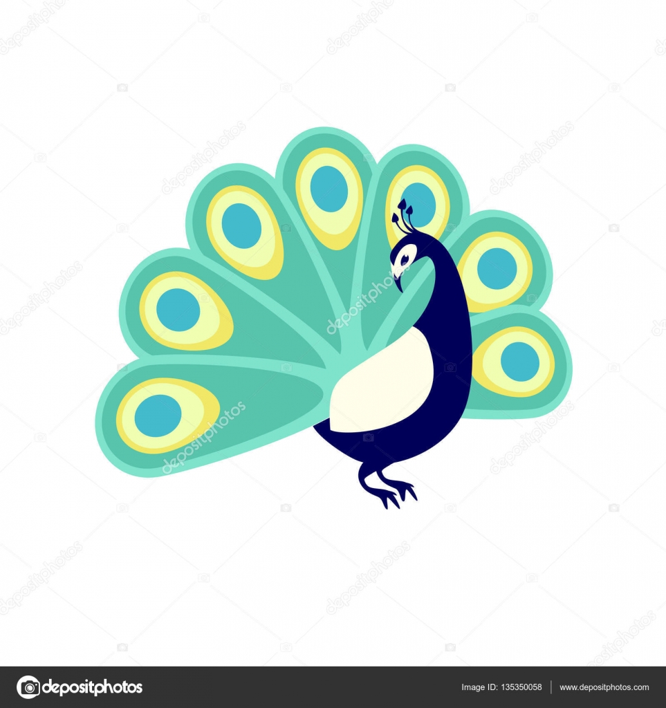 Peacock. Flat vector illustration — Stock Vector © Ukususha #135350058