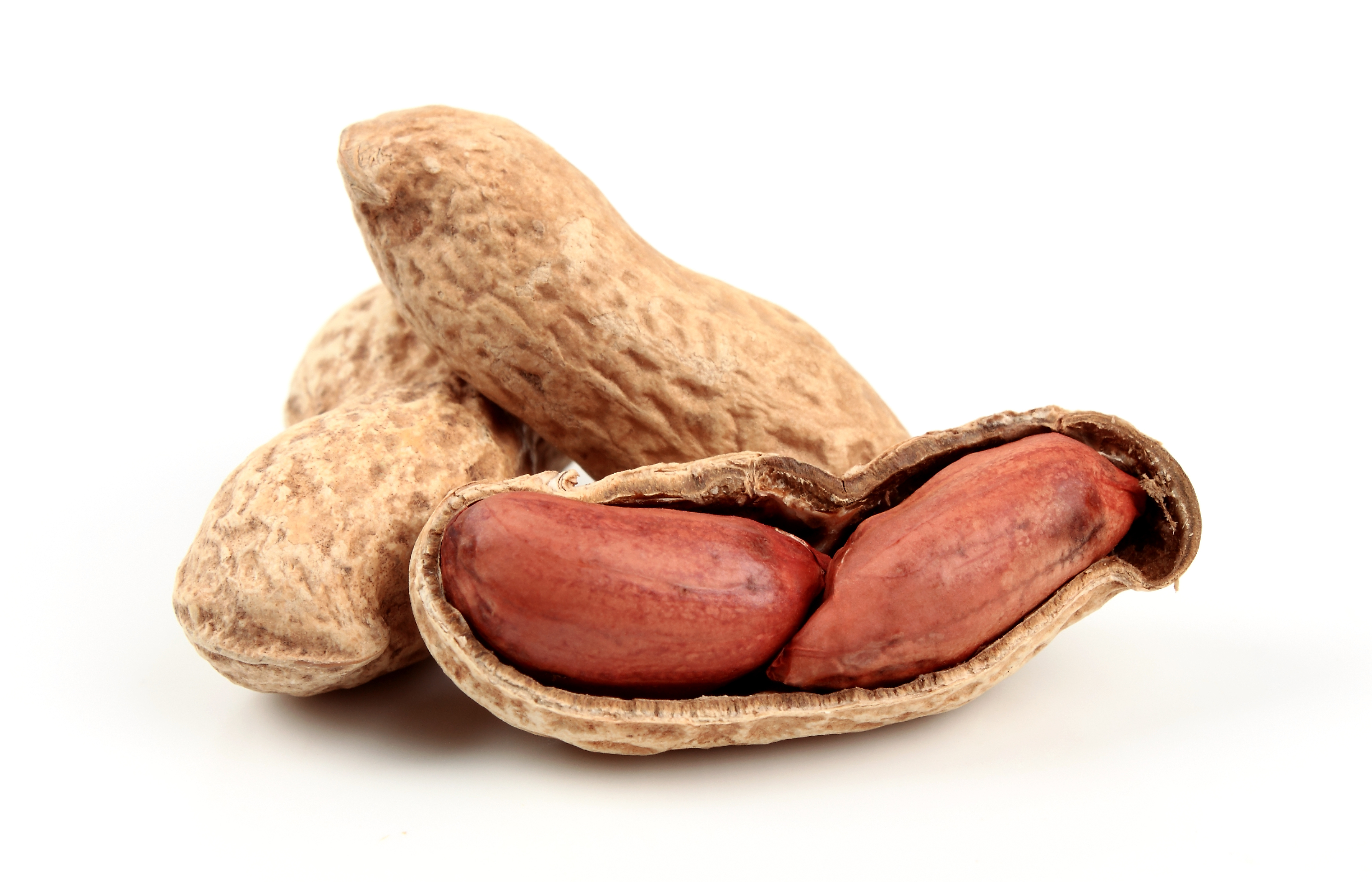 Peanut Allergy: The Facts- Anaphylaxis Campaign