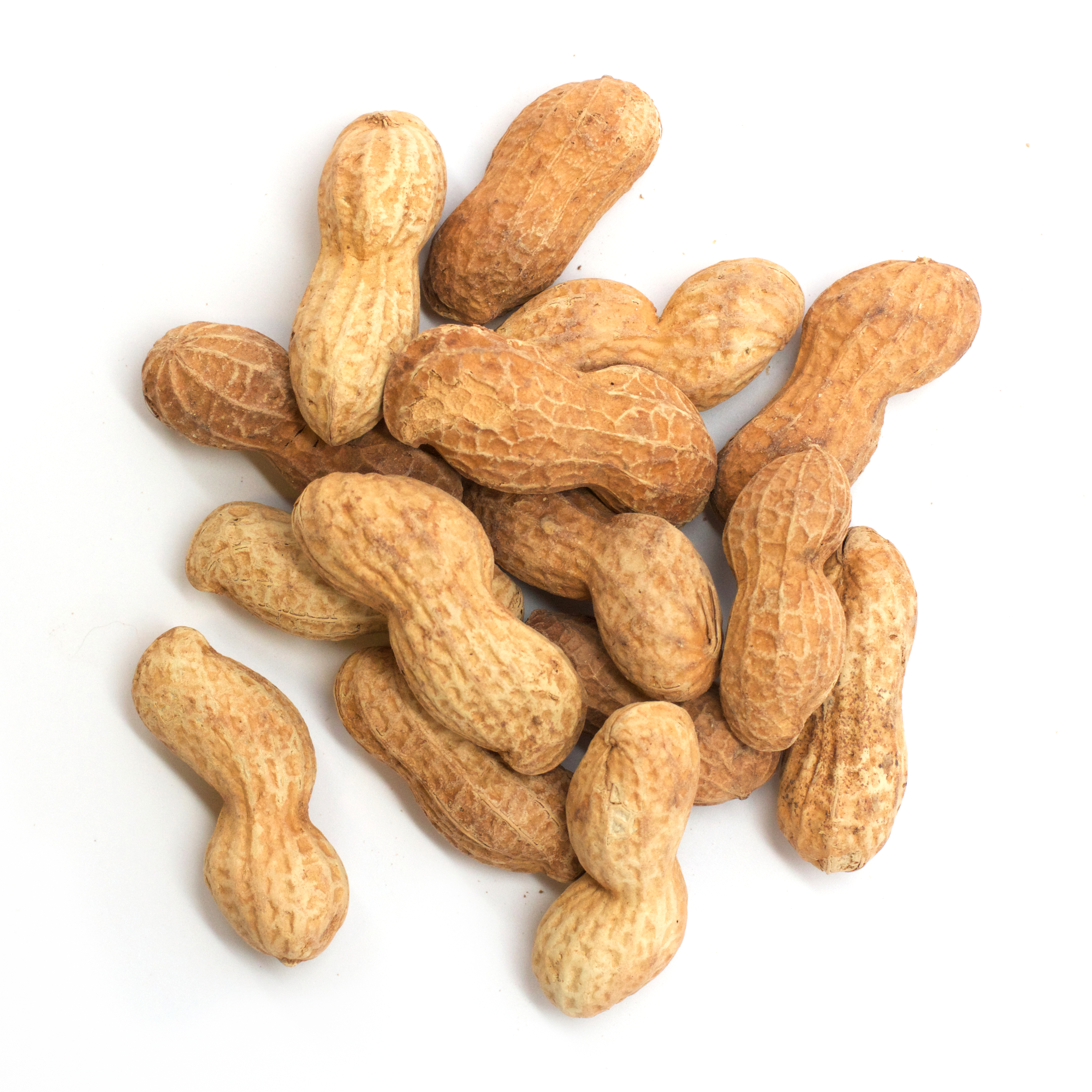 CB's RAW Peanuts, 12 lb Bulk – CB's Nuts