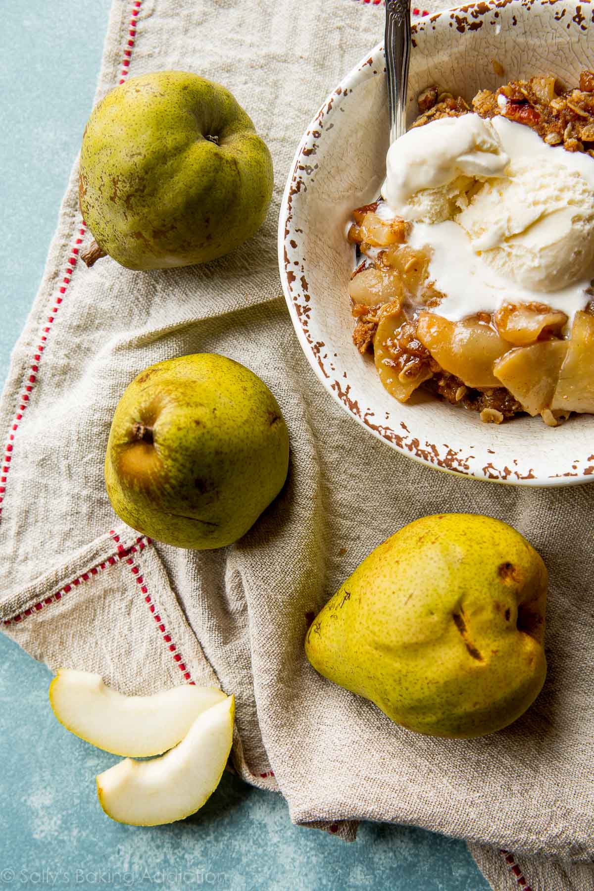 Cinnamon Apple Pear Crisp - Sallys Baking Addiction