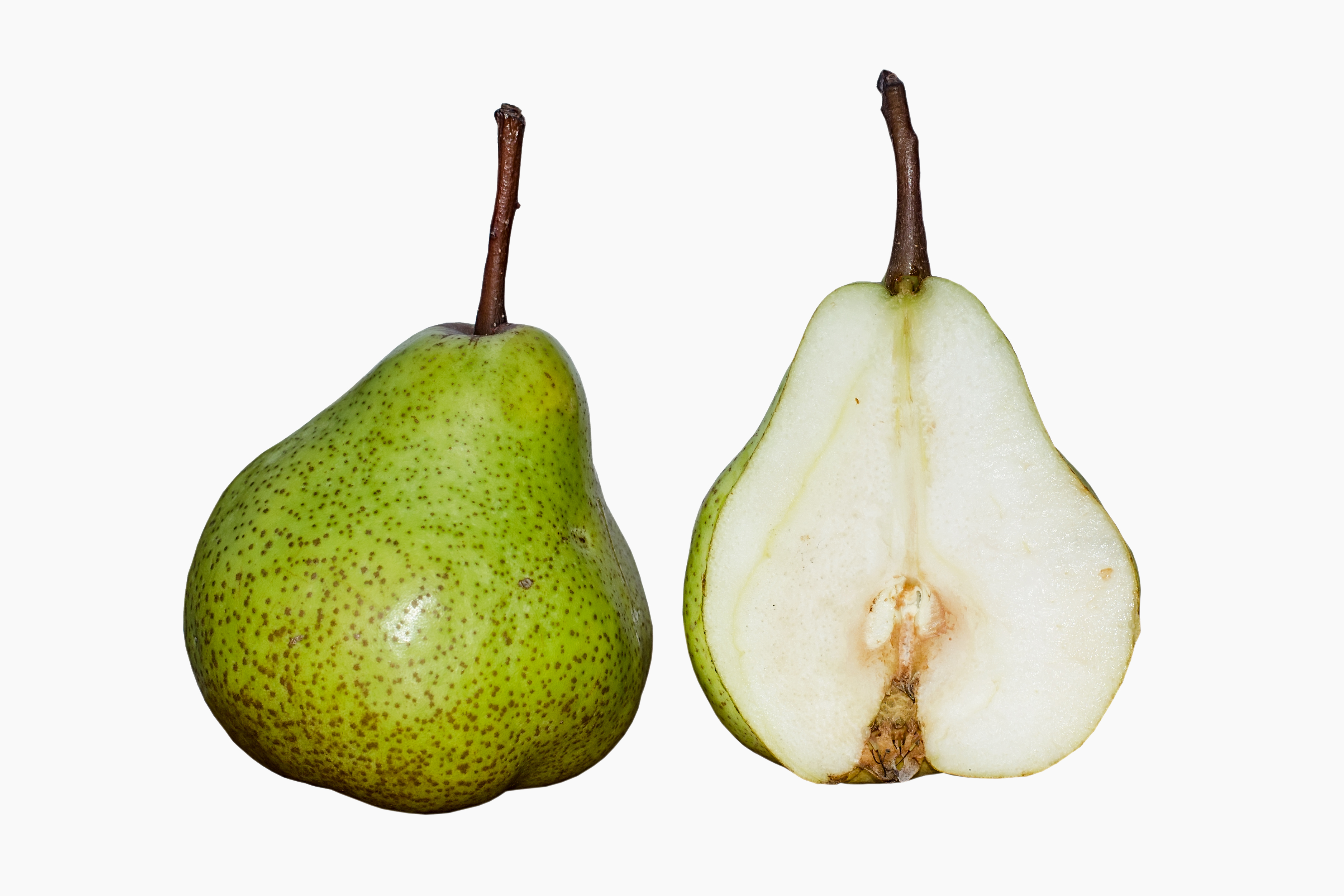 File:Pear DS.jpg - Wikimedia Commons