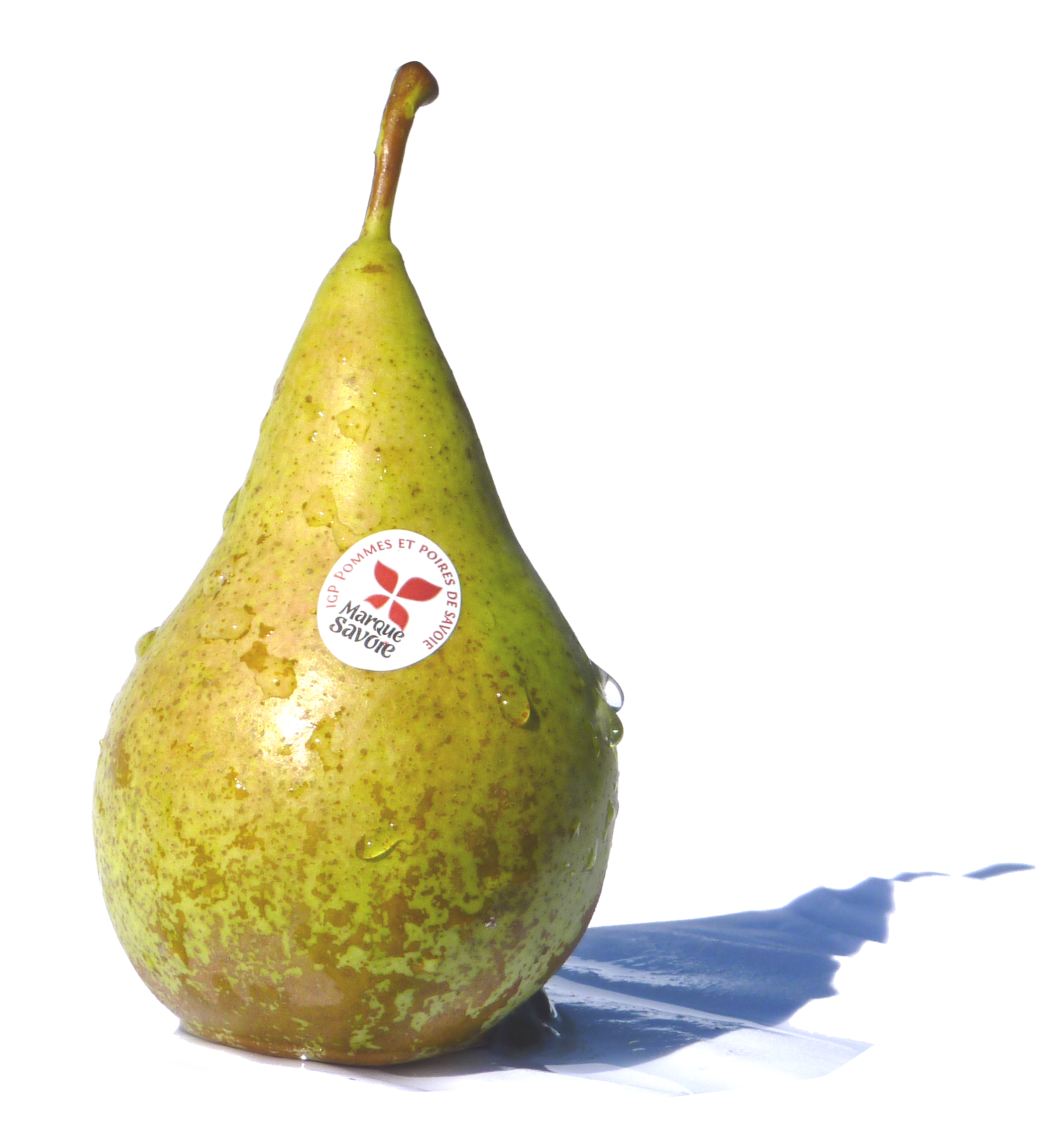 Conference pear - Wikipedia