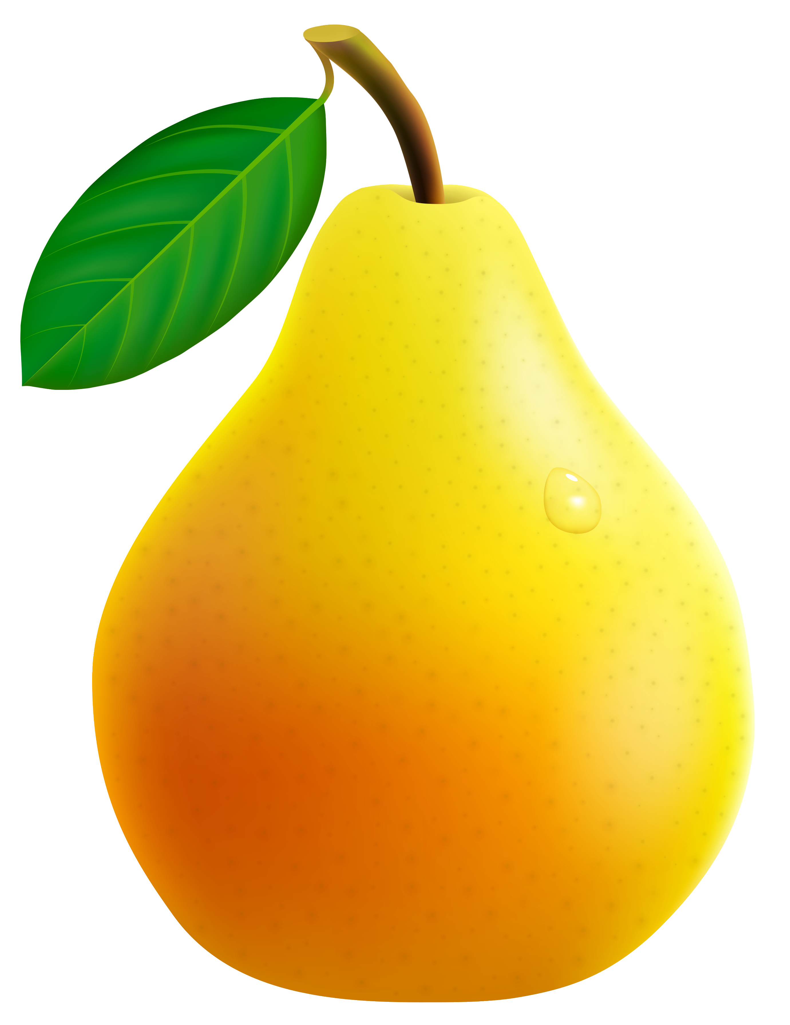 Yellow Pear PNG Vector Clipart Image | Gallery Yopriceville - High ...