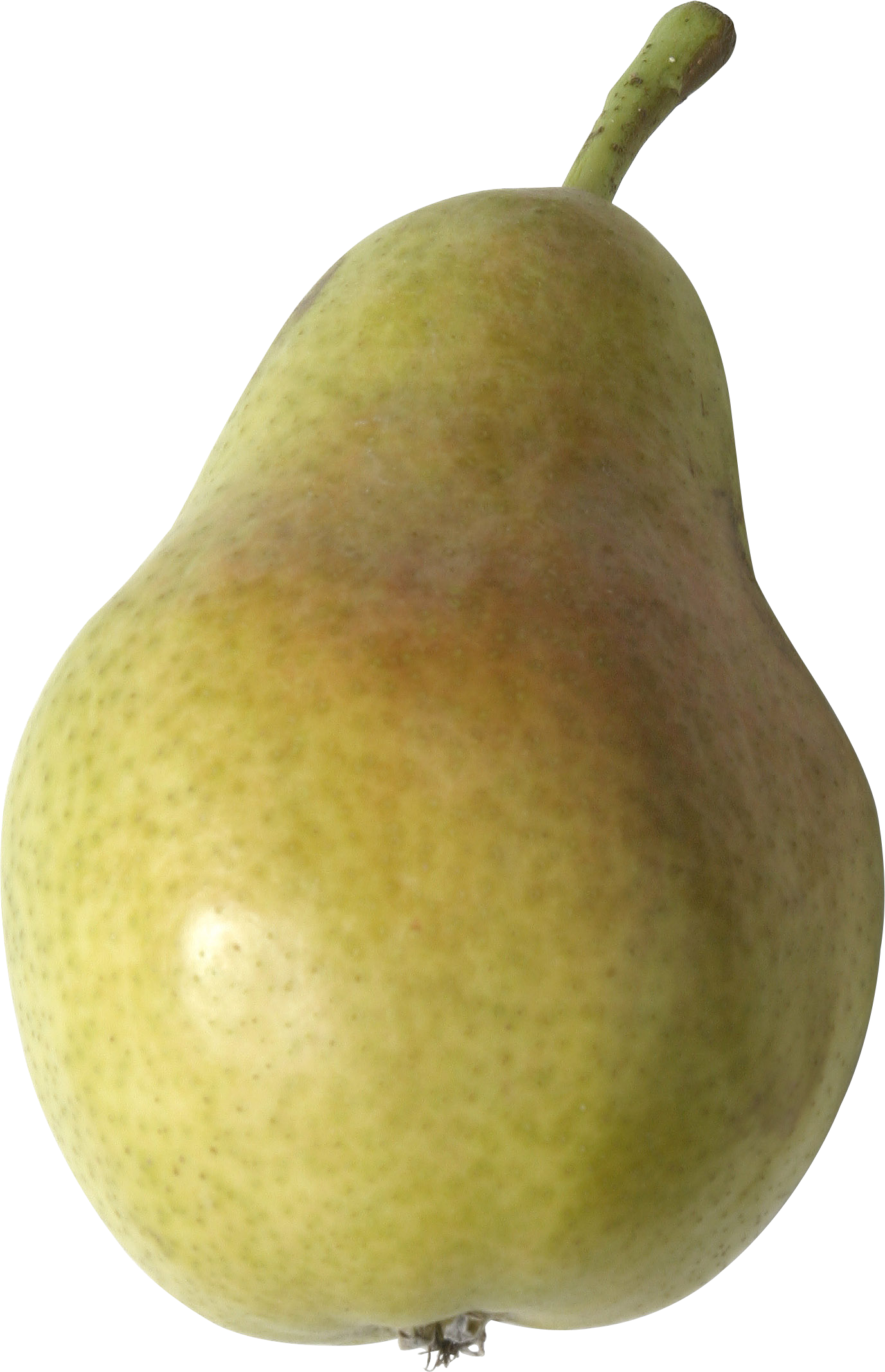 Pear PNG Image - PurePNG | Free transparent CC0 PNG Image Library