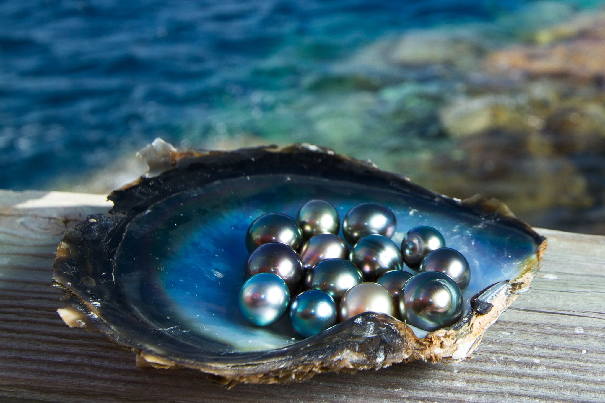 Are Pearls Really Eco-Friendly Gems? Some Say No - Pearls of Wisdom