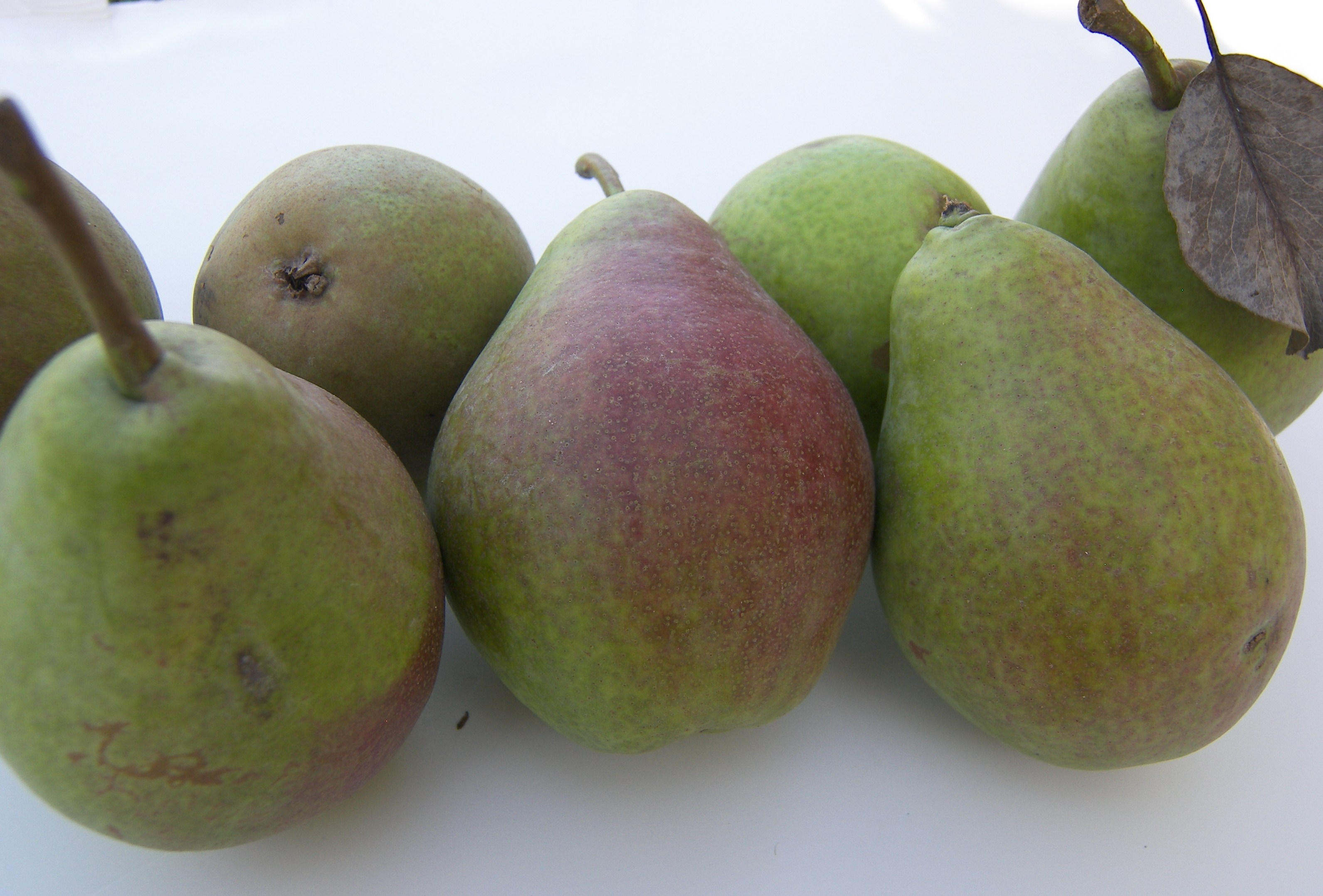 Clapp's Favorite Pears - Eat Like No One Else