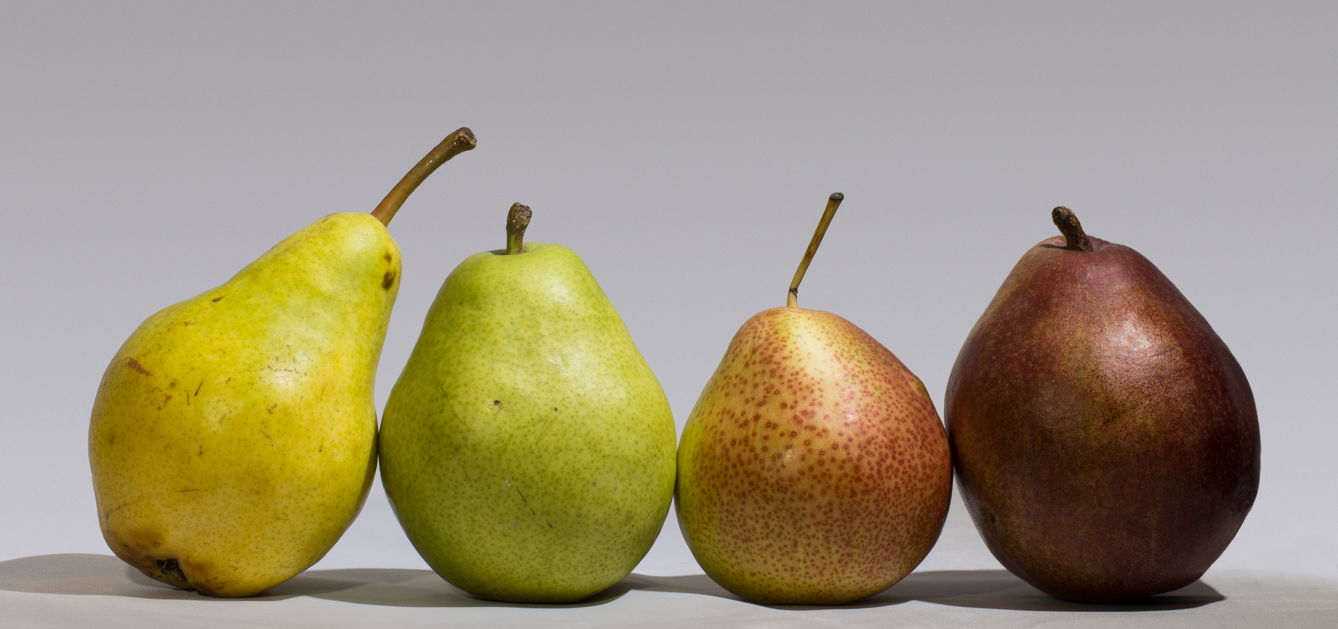 File:Four pears.jpg - Wikimedia Commons
