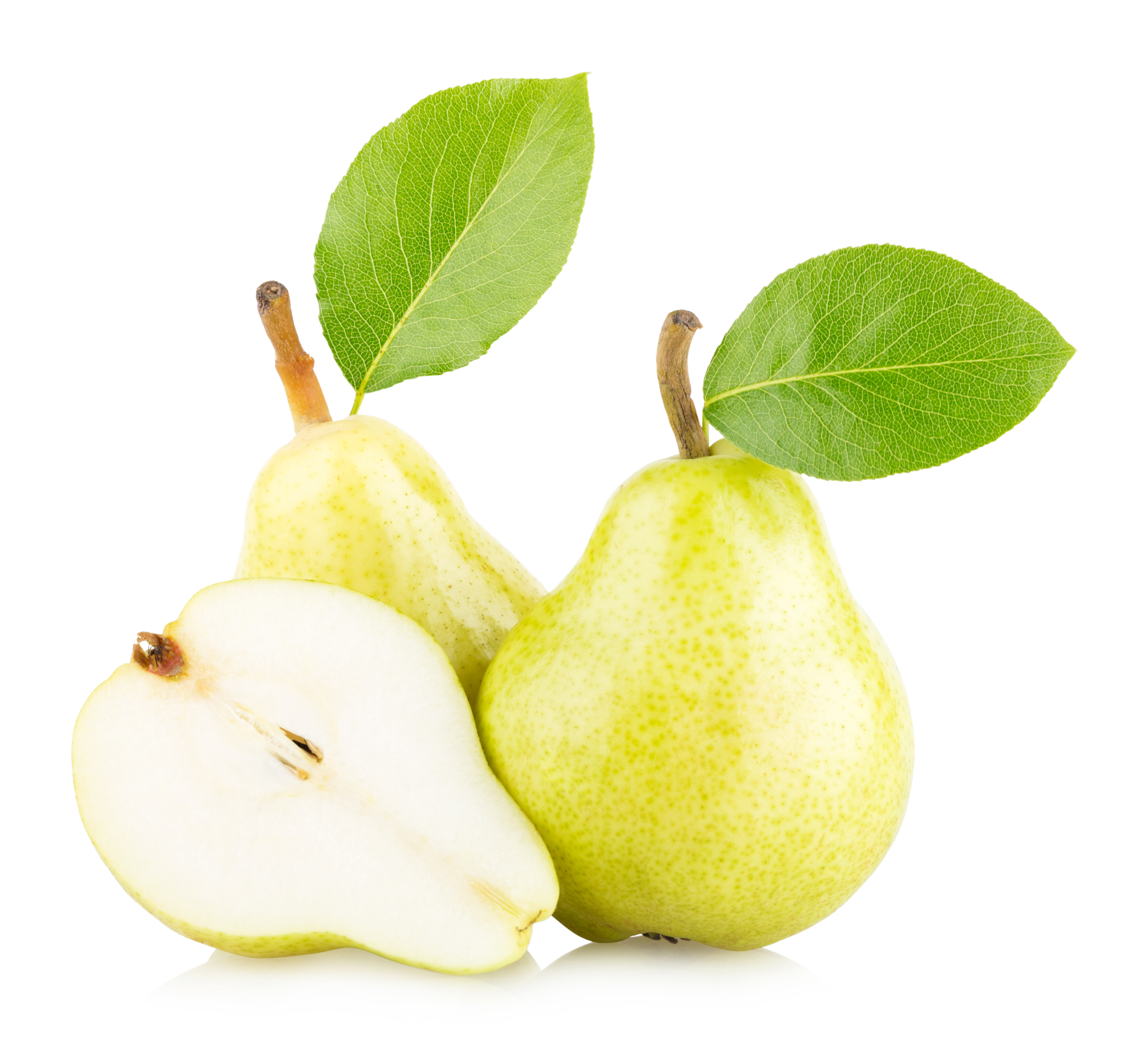 Pears isolated on white background photo