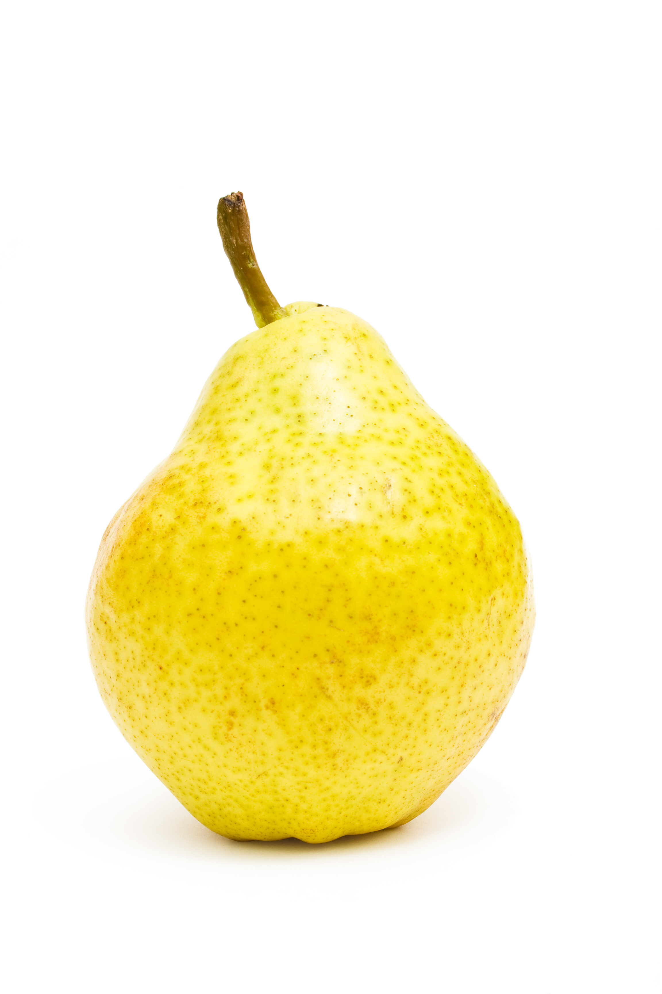 Pears isolated on white background photo