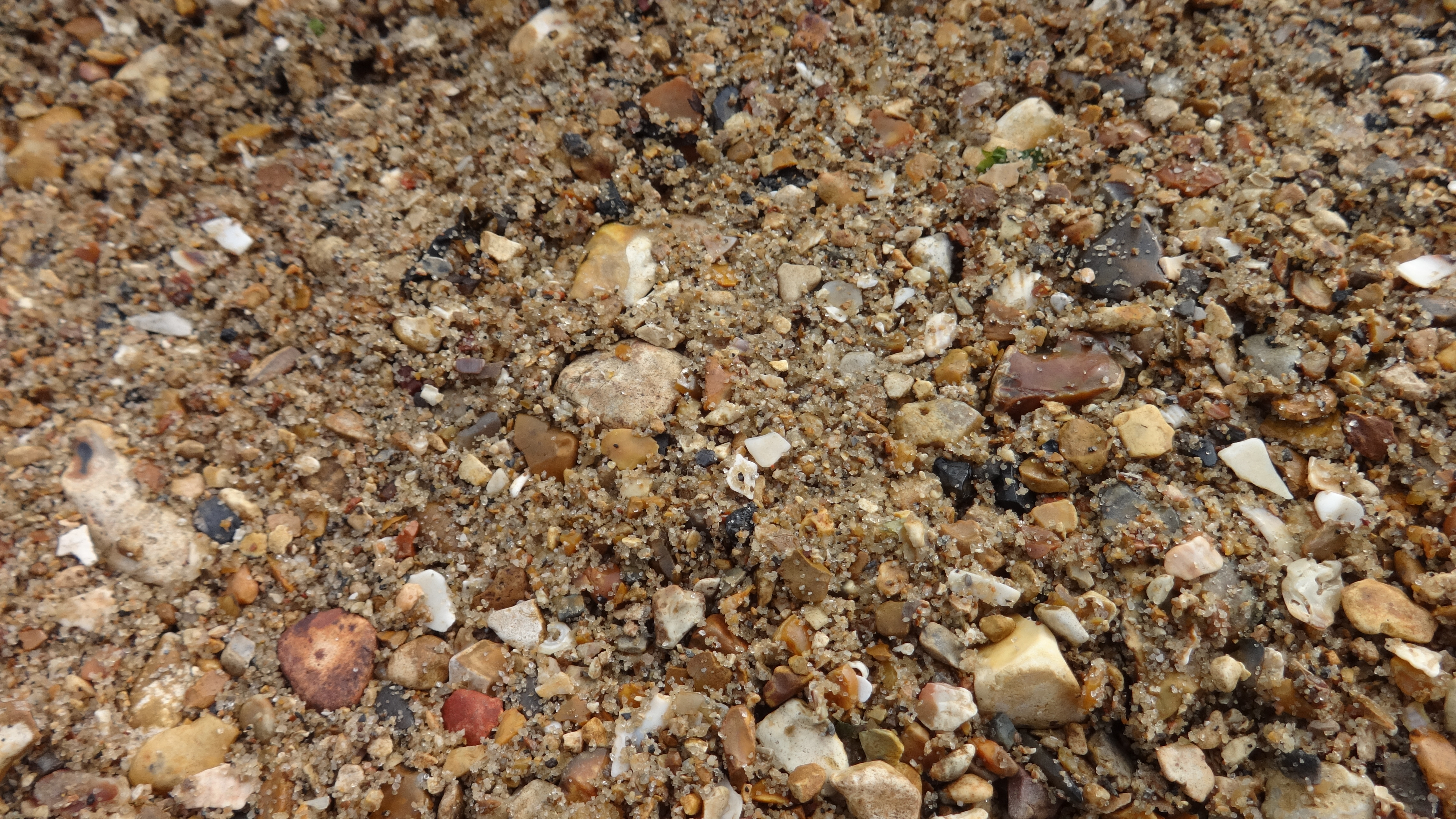 Pebbles, Sea, Shore, HQ Photo