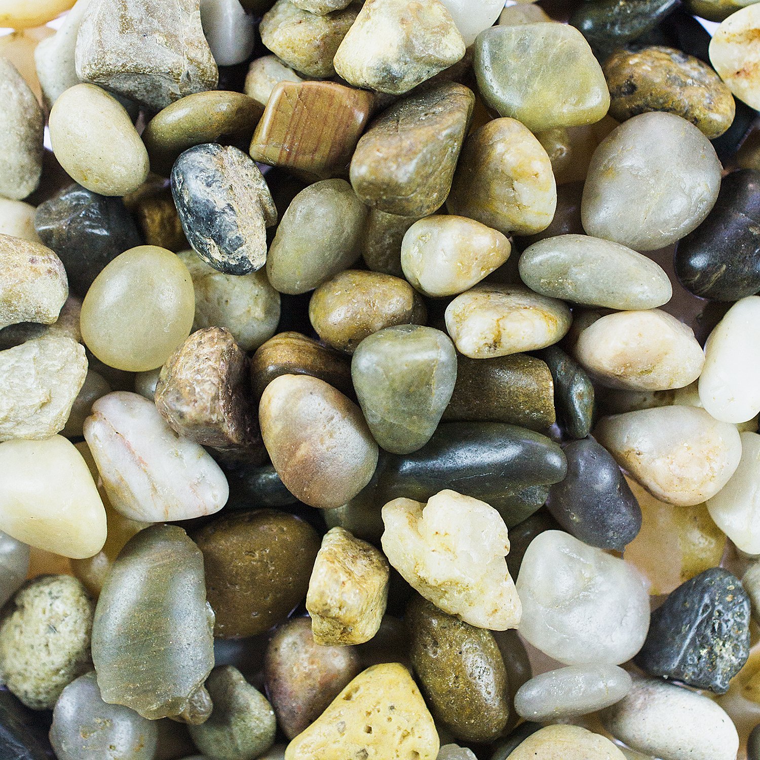 Amazon.com: Mini Assorted Garden Beach Stone Rocks Pebbles Aquarium ...